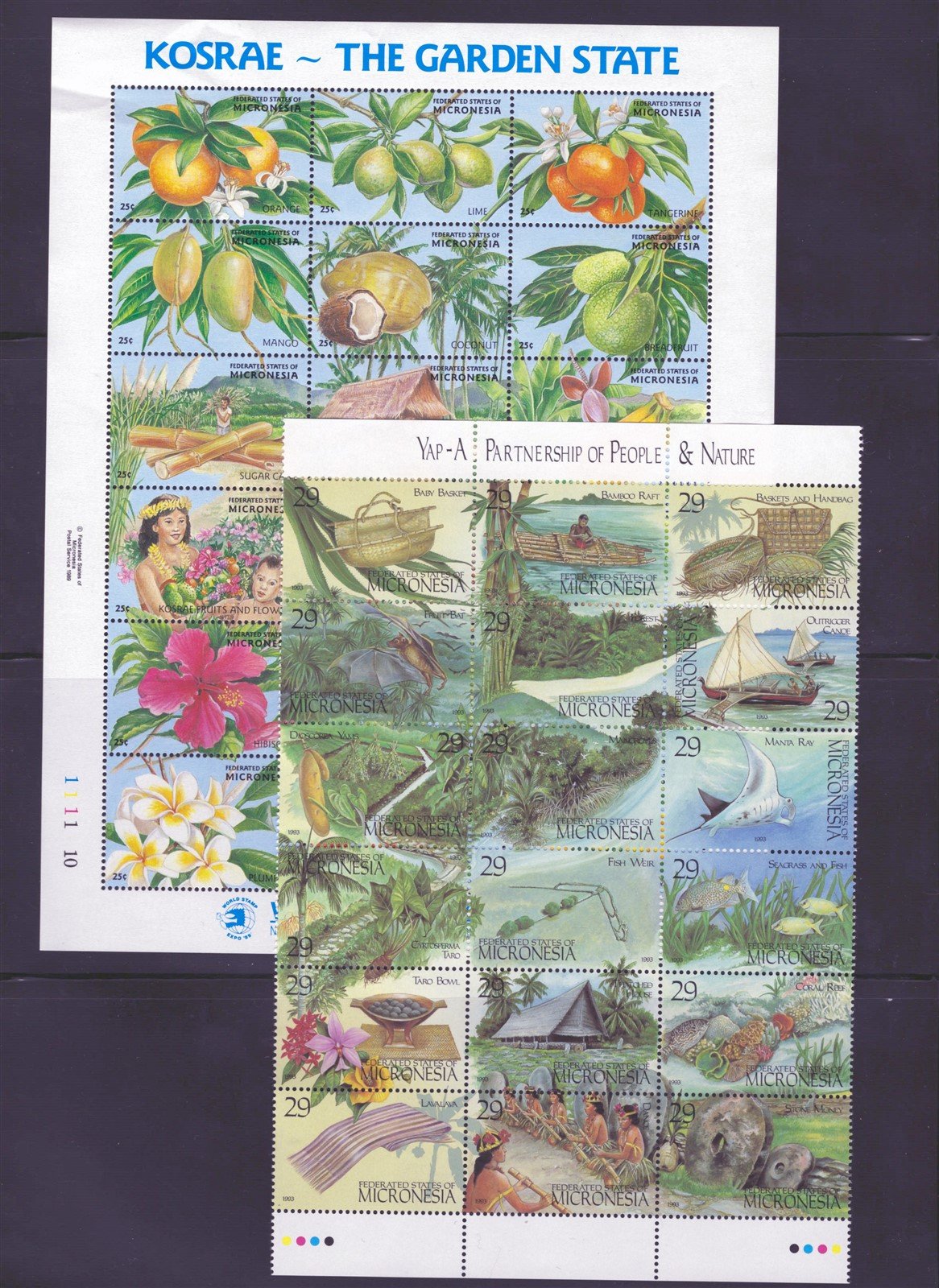 Micronesia Island Ecology MNH Stamp Collection on 12 Stock Pages ZAYIX 0825L1759