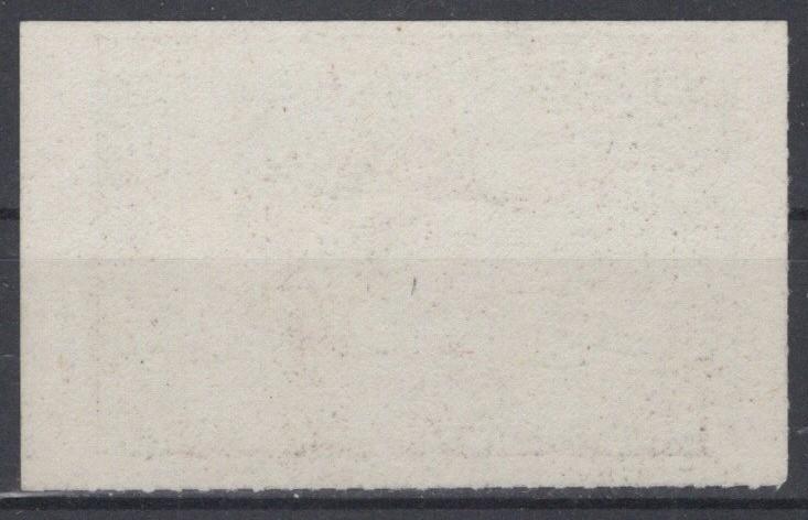 Iowa 11 MNH VF State Hunting Permit Duck Stamp Revenue Zayix 0825RB1818