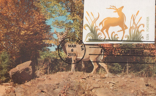 US FDC Maxi Card Deer Wildlife Animals ZAYIX 0924M0296