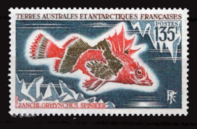 FSAT TAAF 44 MNH 135fr Zanchlorhynchus Spinifer fish ZAYIX FSA-S0046