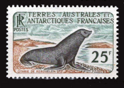 FSAT TAAF 18 MH Weddell seal at Kerguelen ZAYIX FSA-S0022
