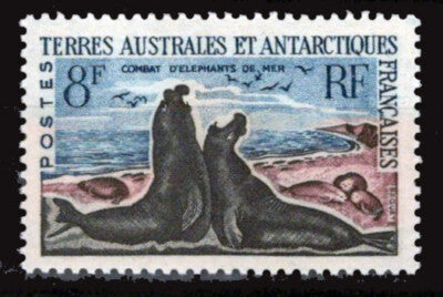 FSAT TAAF 22 MH Elephant Seals Fighting ZAYIX FSA-S0031
