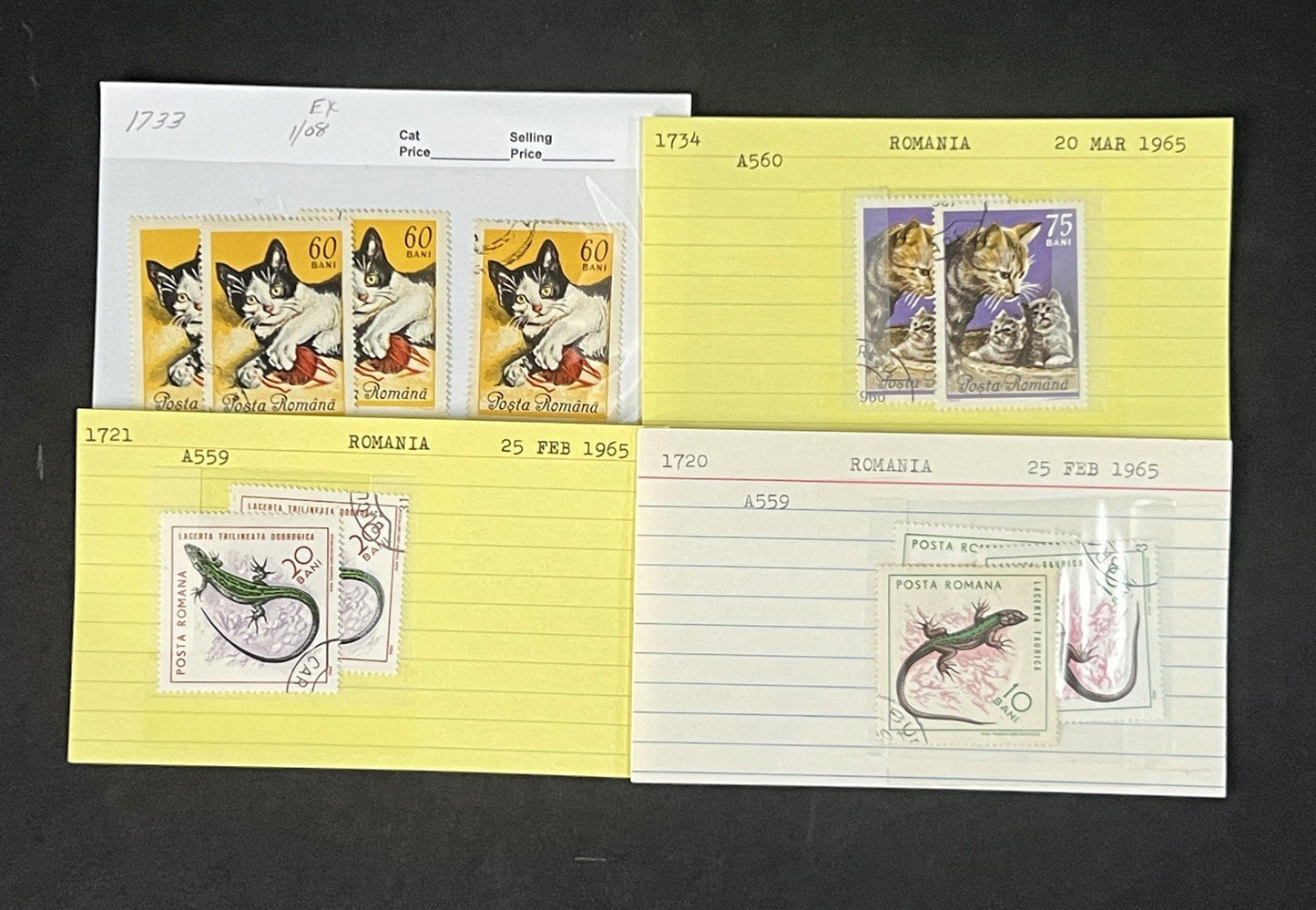 Romania Collection by Scott number on 700+ Dealer Cards ZAYIX 0825G3860
