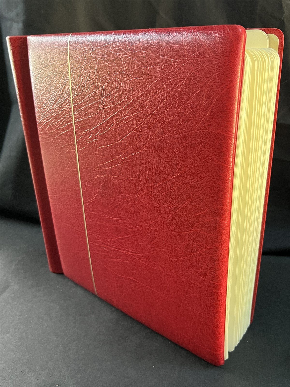 Israel Collection of 513 Stamps in a Lighthouse Hingeless Album ZAYIX 0825G3898