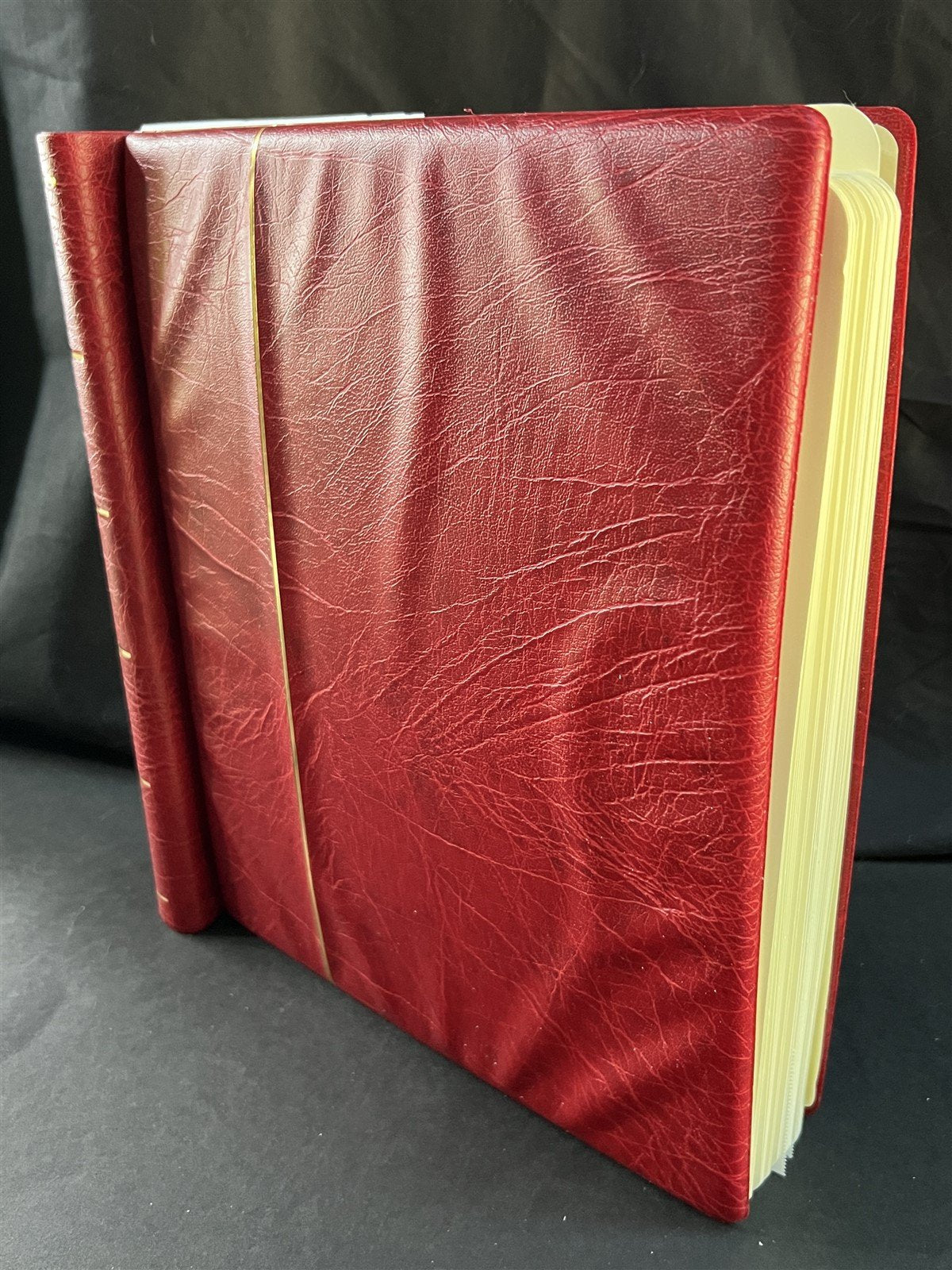 Israel Collection of 334 Stamps in a Lighthouse Hingeless Album ZAYIX 0825G3899