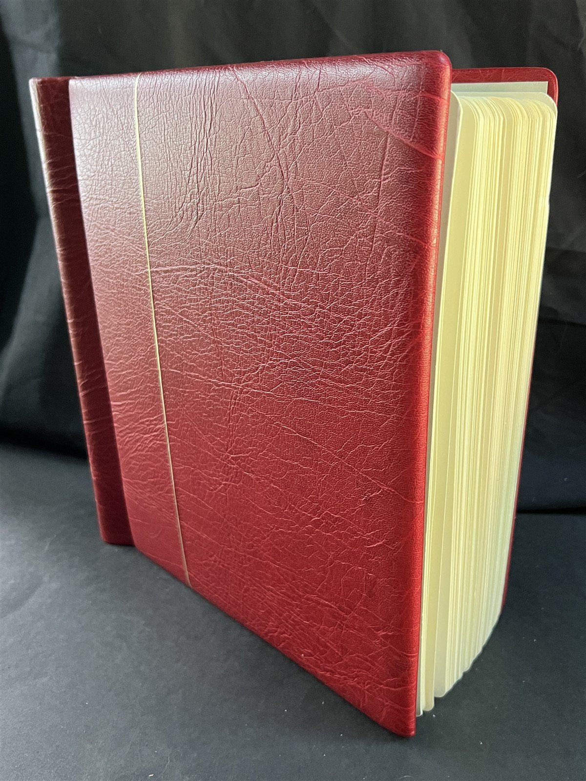 Israel Collection of 976 Stamps in a Lighthouse Hingeless Album ZAYIX 0825G3940