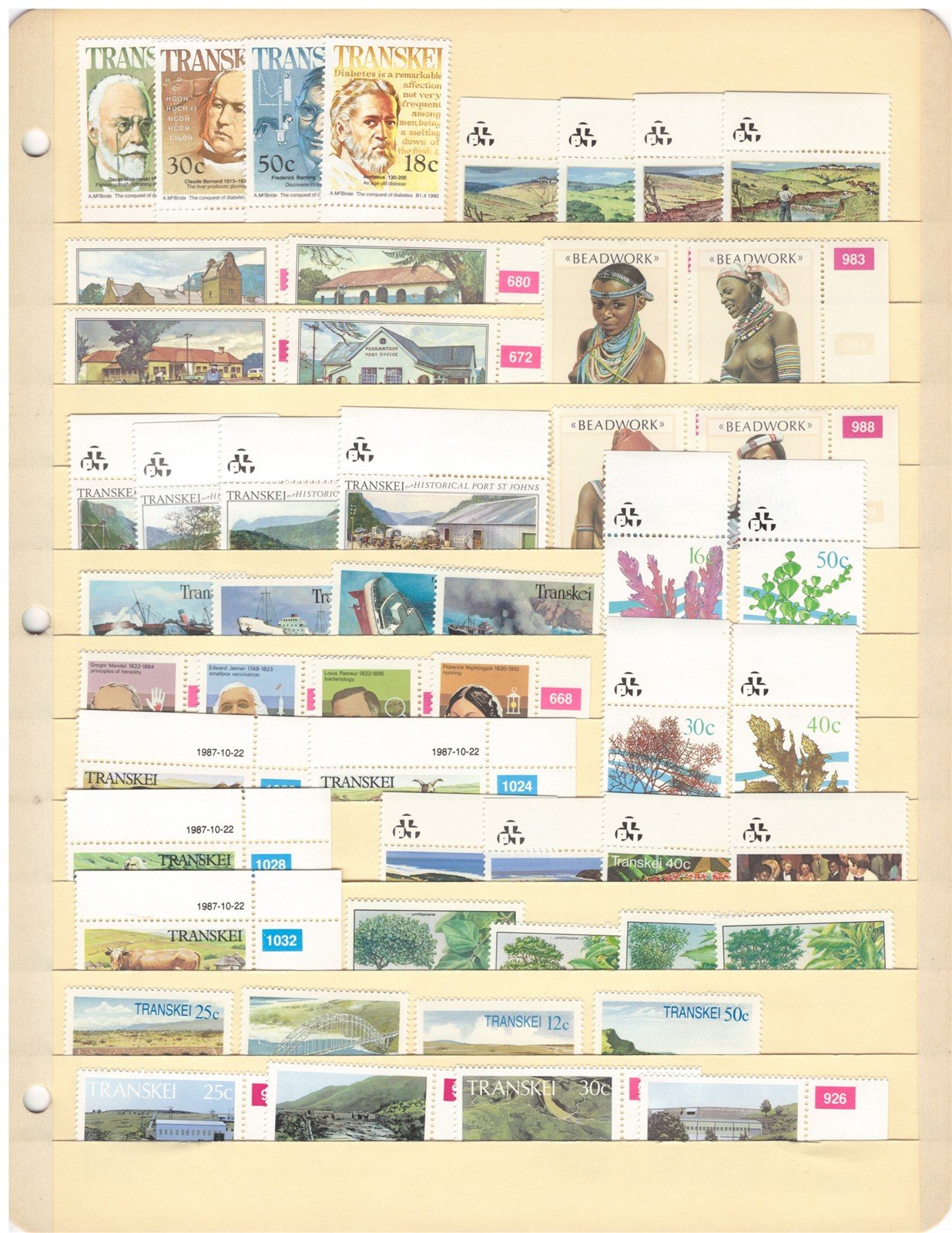 Transkei All Different MNH Stamp Collection on 4 Stock Pages ZAYIX 0825CB4250