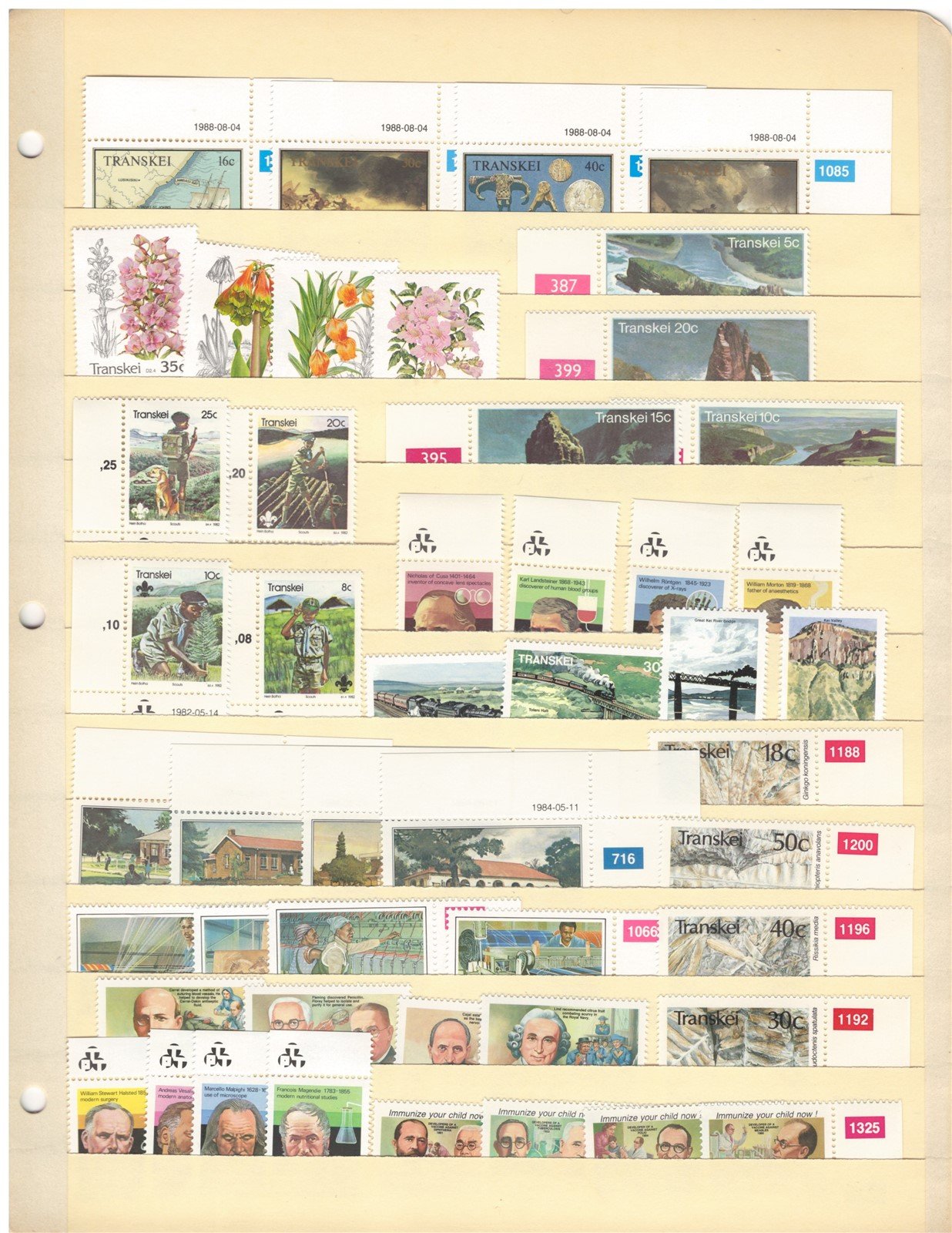 Transkei All Different MNH Stamp Collection on 5 Stock Pages ZAYIX 0825CB4347
