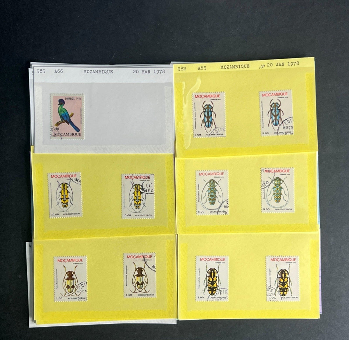 Mozambique Stamp Collection Dealer Cards $51 CV Mint & Used ZAYIX