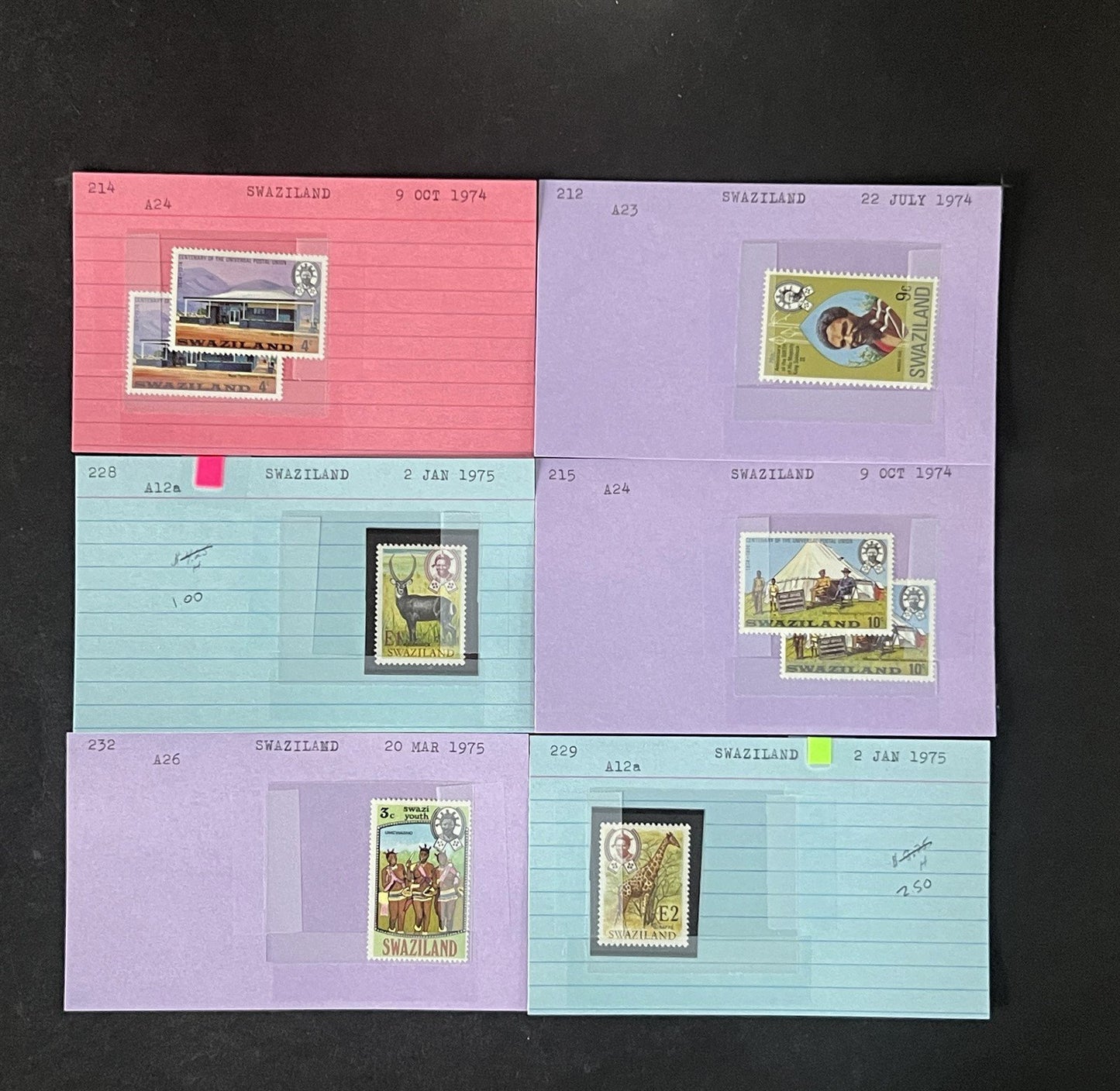 Swaziland Stamp Collection Dealer Cards $179 CV Mint & Used ZAYIX