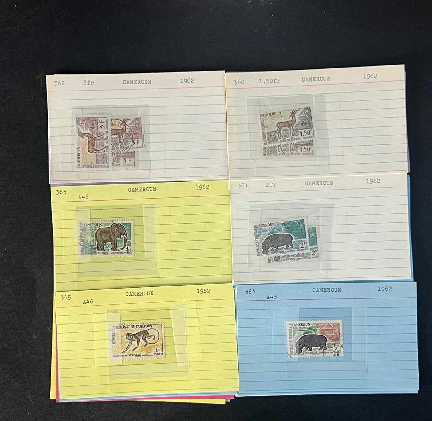 Cameroun Stamp Collection Dealer Cards $188 CV Mint & Used ZAYIX