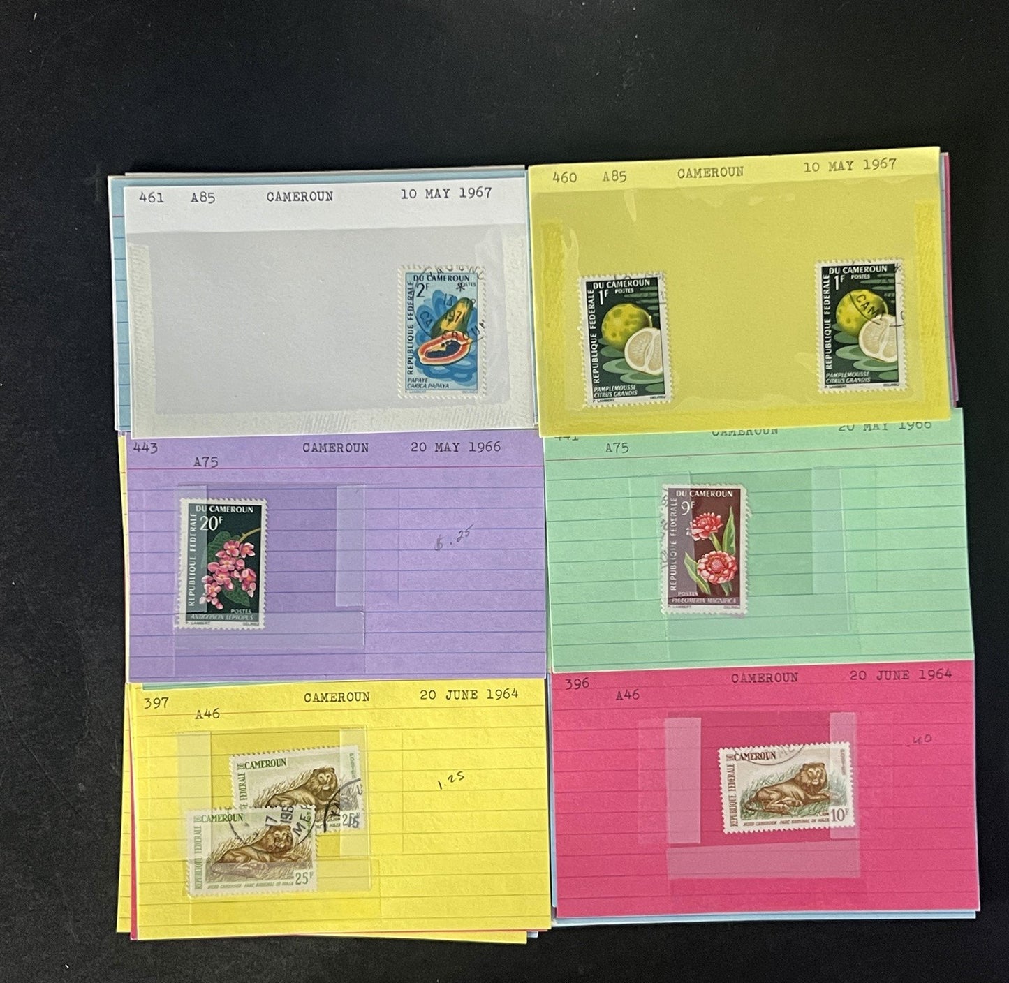 Cameroun Stamp Collection Dealer Cards $188 CV Mint & Used ZAYIX