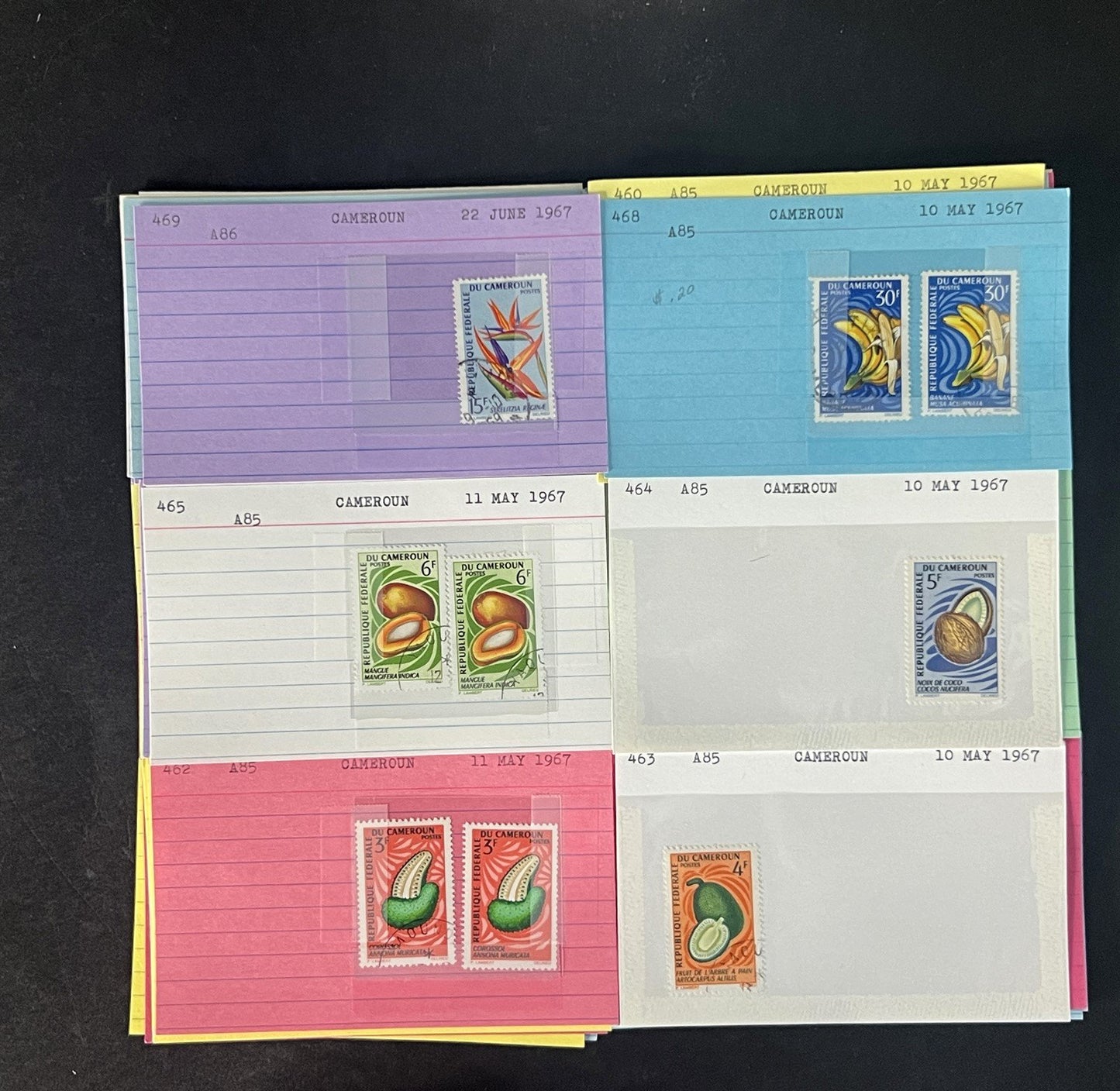 Cameroun Stamp Collection Dealer Cards $188 CV Mint & Used ZAYIX
