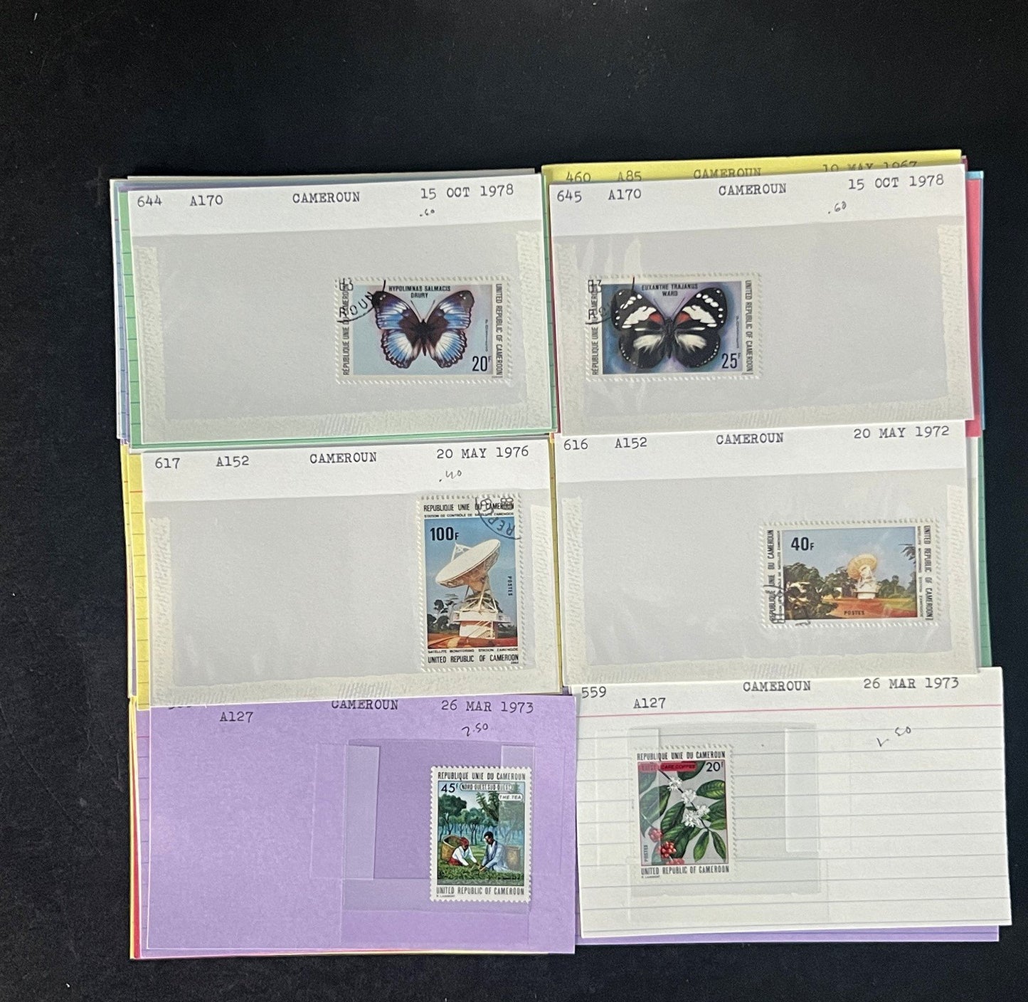 Cameroun Stamp Collection Dealer Cards $188 CV Mint & Used ZAYIX