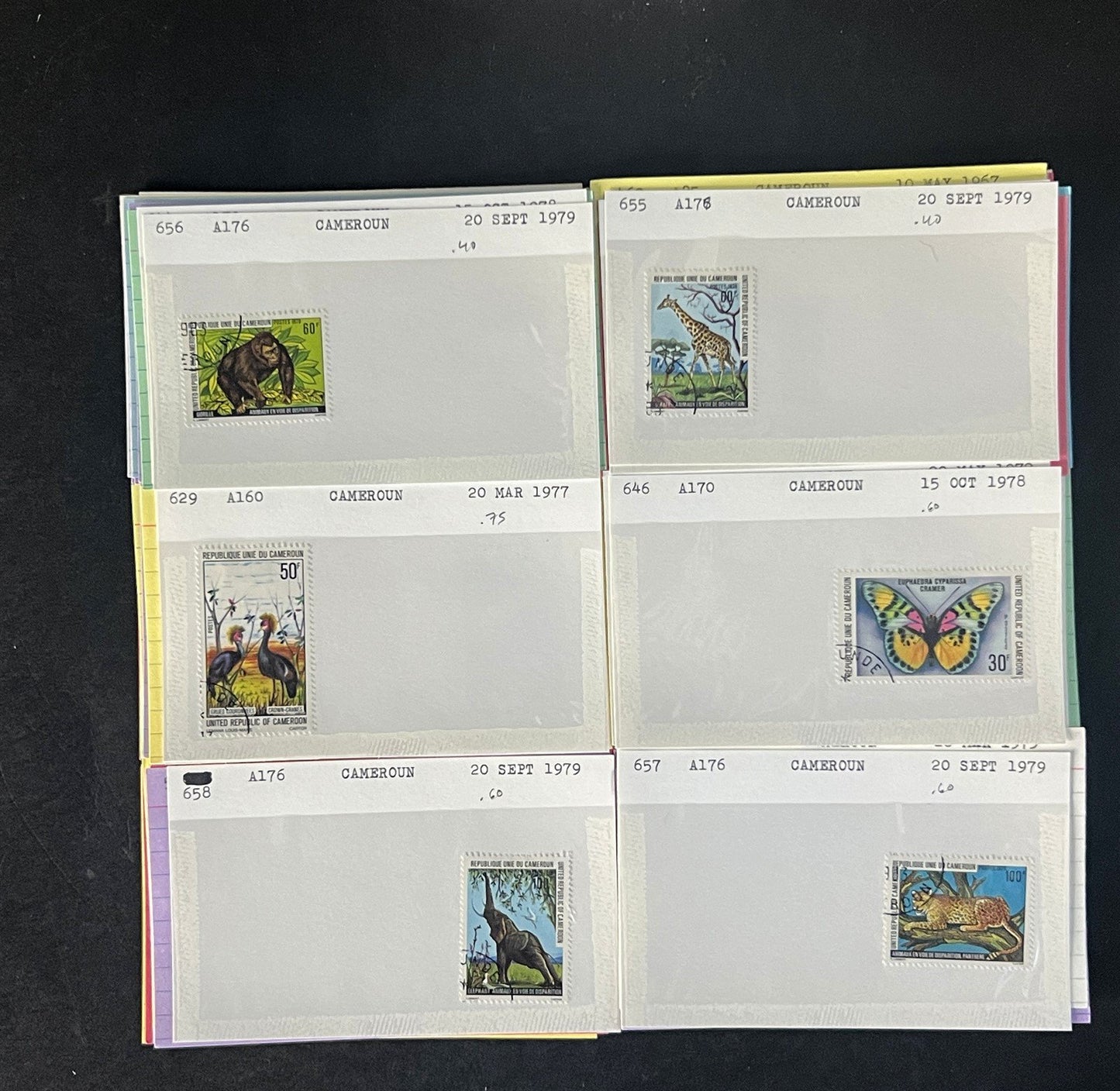 Cameroun Stamp Collection Dealer Cards $188 CV Mint & Used ZAYIX