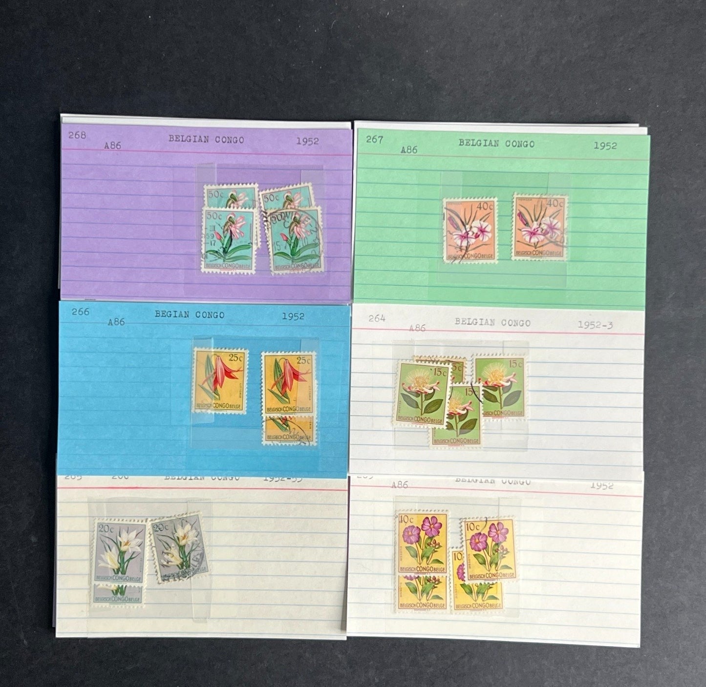 Belgian Congo Stamp Collection Dealer Cards $70 CV Mint & Used ZAYIX