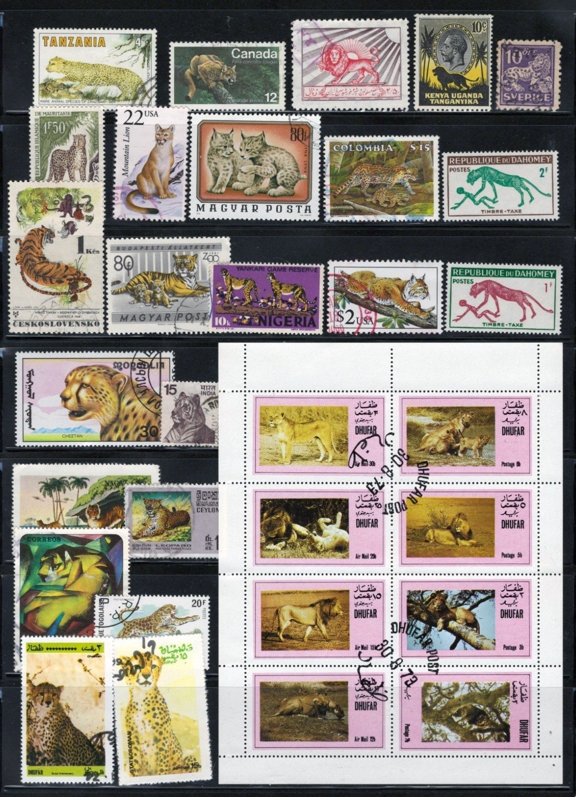 Wild Cats Stamp Collection 4 Stock Pages Sets Singles 110 Stamps Mint/Used ZAYIX
