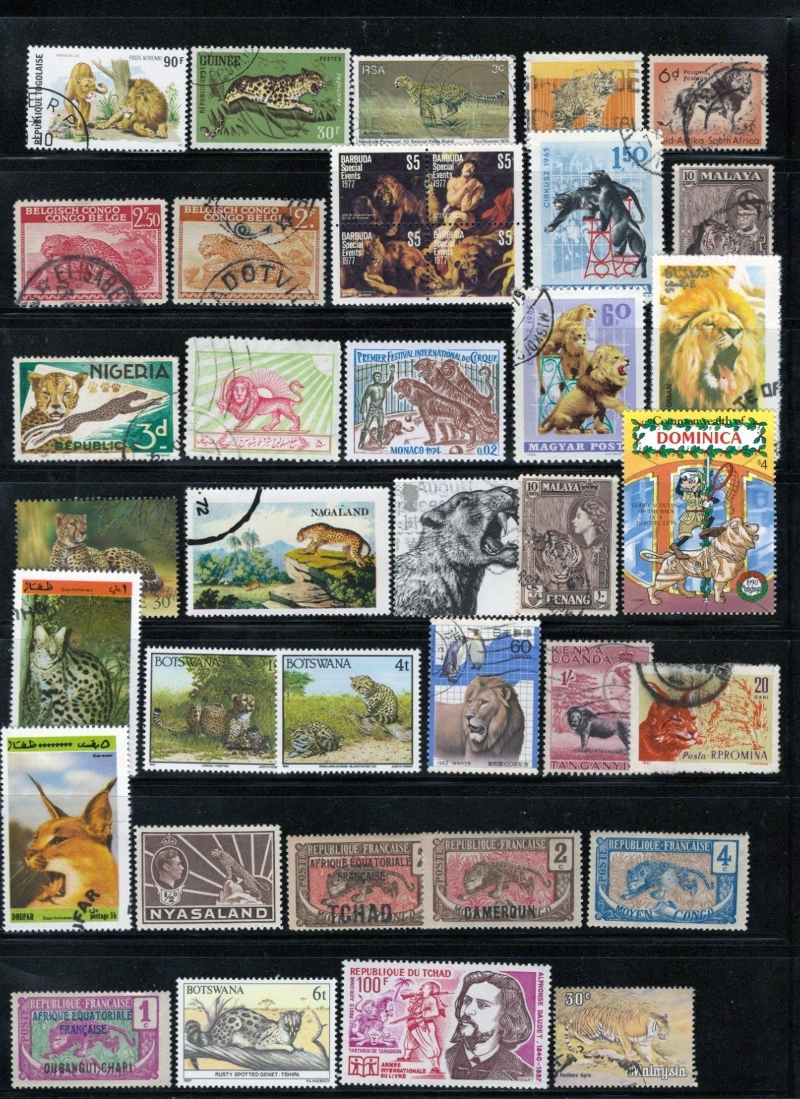 Wild Cats Stamp Collection 4 Stock Pages Sets Singles 110 Stamps Mint/Used ZAYIX