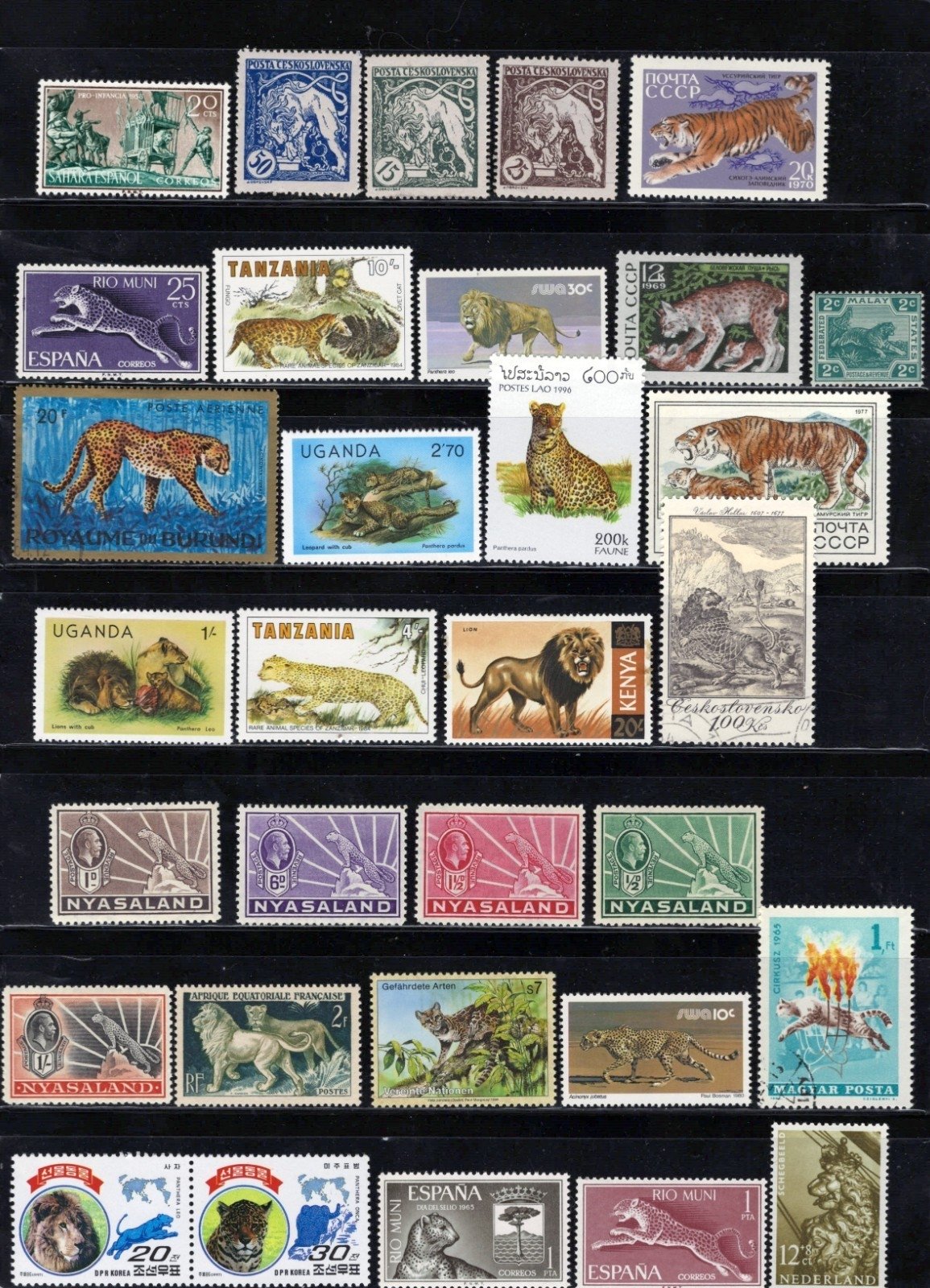 Wild Cats Stamp Collection 4 Stock Pages Sets Singles 110 Stamps Mint/Used ZAYIX