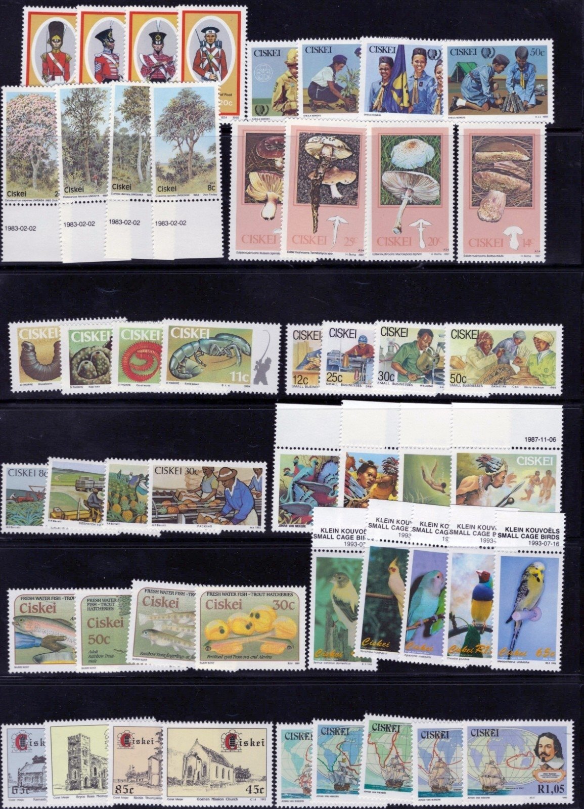 Ciskei Stamp Collection 7 Stock Pages Sets Singles $147 CV Mint/Used ZAYIX