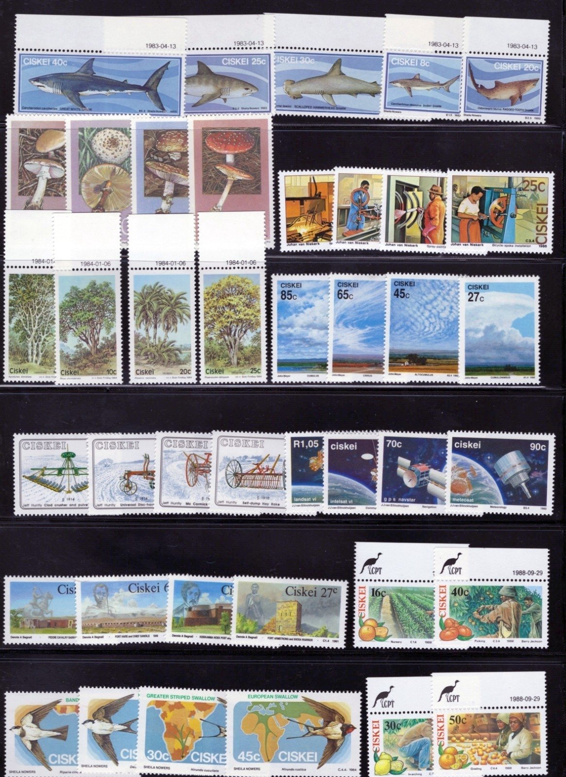Ciskei Stamp Collection 7 Stock Pages Sets Singles $147 CV Mint/Used ZAYIX