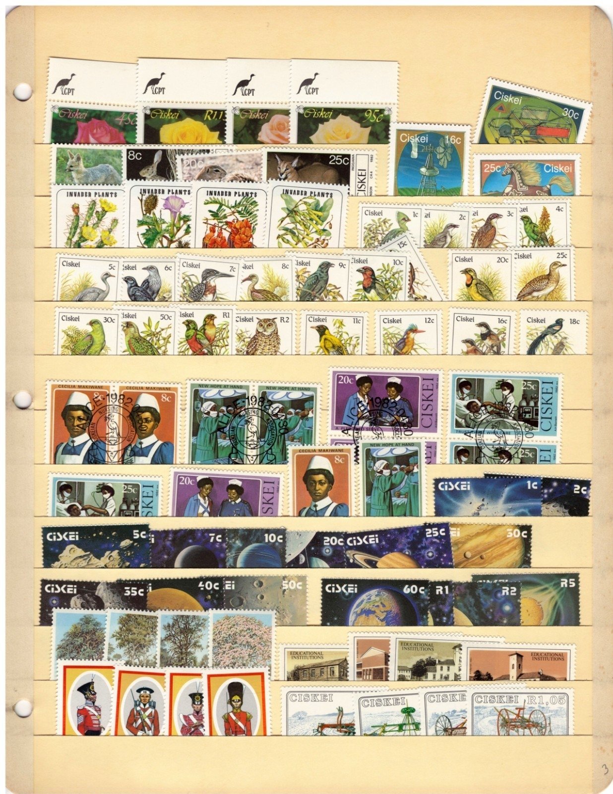Ciskei Stamp Collection 2 Stock Pages Sets Singles $85 CV Stamps MNH/Used ZAYIX