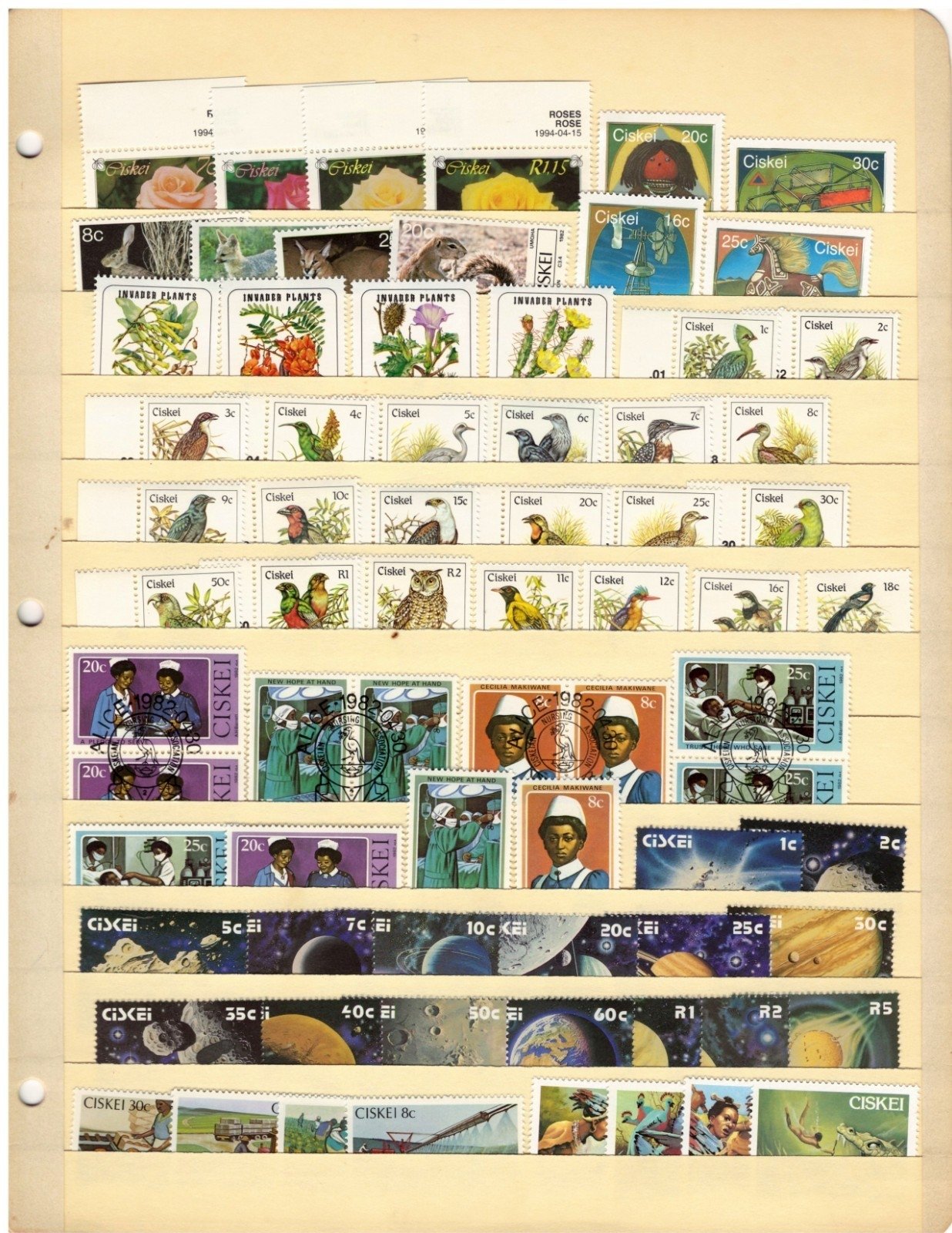 Ciskei Stamp Collection 2 Stock Pages Sets Singles $78 CV Stamps Mint/Used ZAYIX
