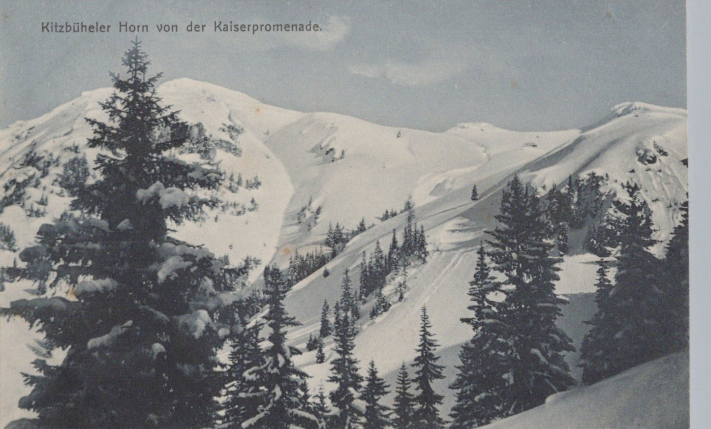 Early 1910s Kitzbühel, Tirol Winter Sports Postcard Collection (19 Cards) ZAYIX