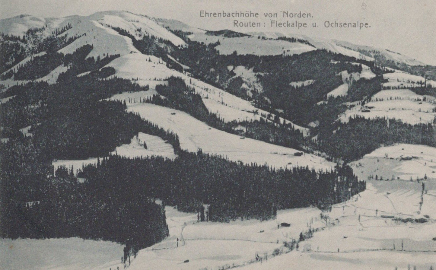 Early 1910s Kitzbühel, Tirol Winter Sports Postcard Collection (19 Cards) ZAYIX