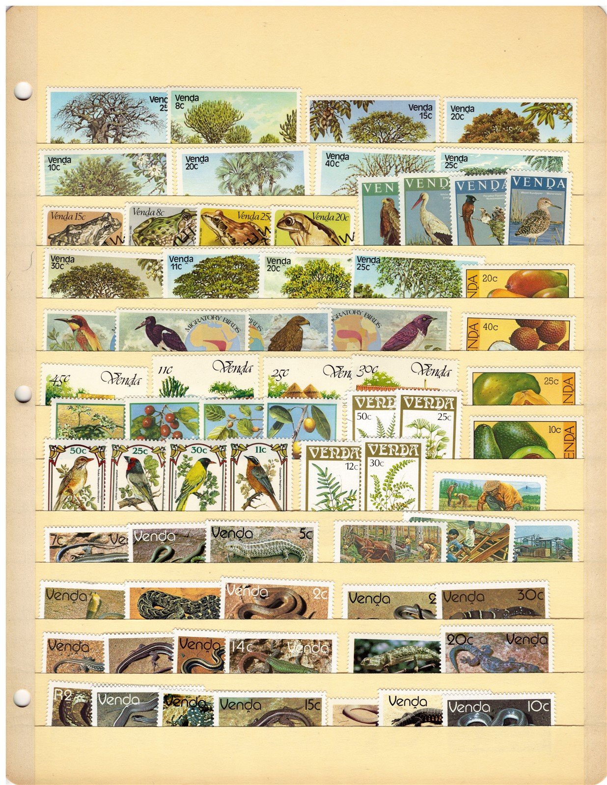 Venda Stamp Collection – 276 Mint/Used Stamps complete sets, 4 Stock Pages ZAYIX