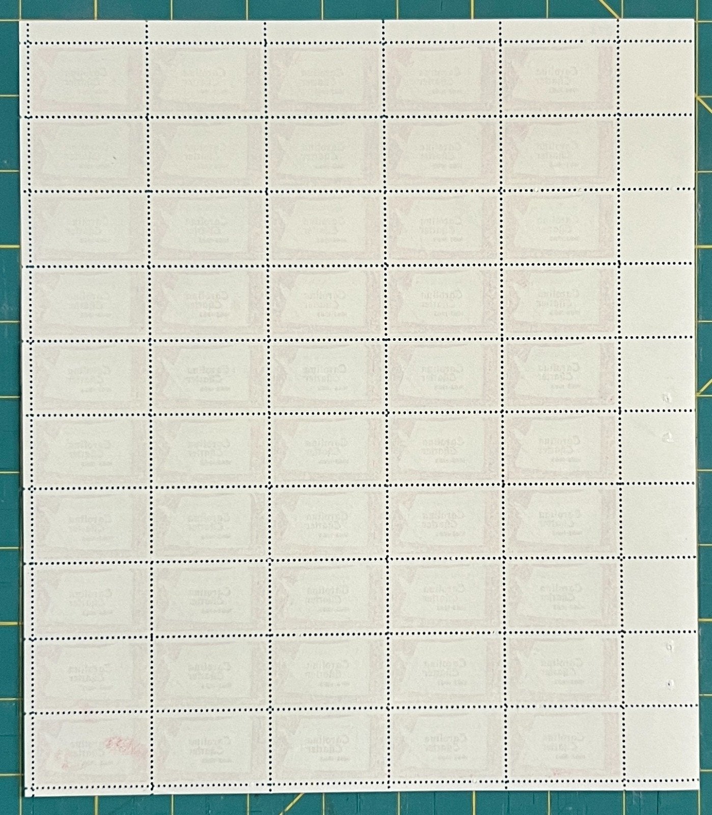 US 1963 5¢ Carolina Charter Tercentenary Mint Sheet MNH (Scott 1230) ZAYIX