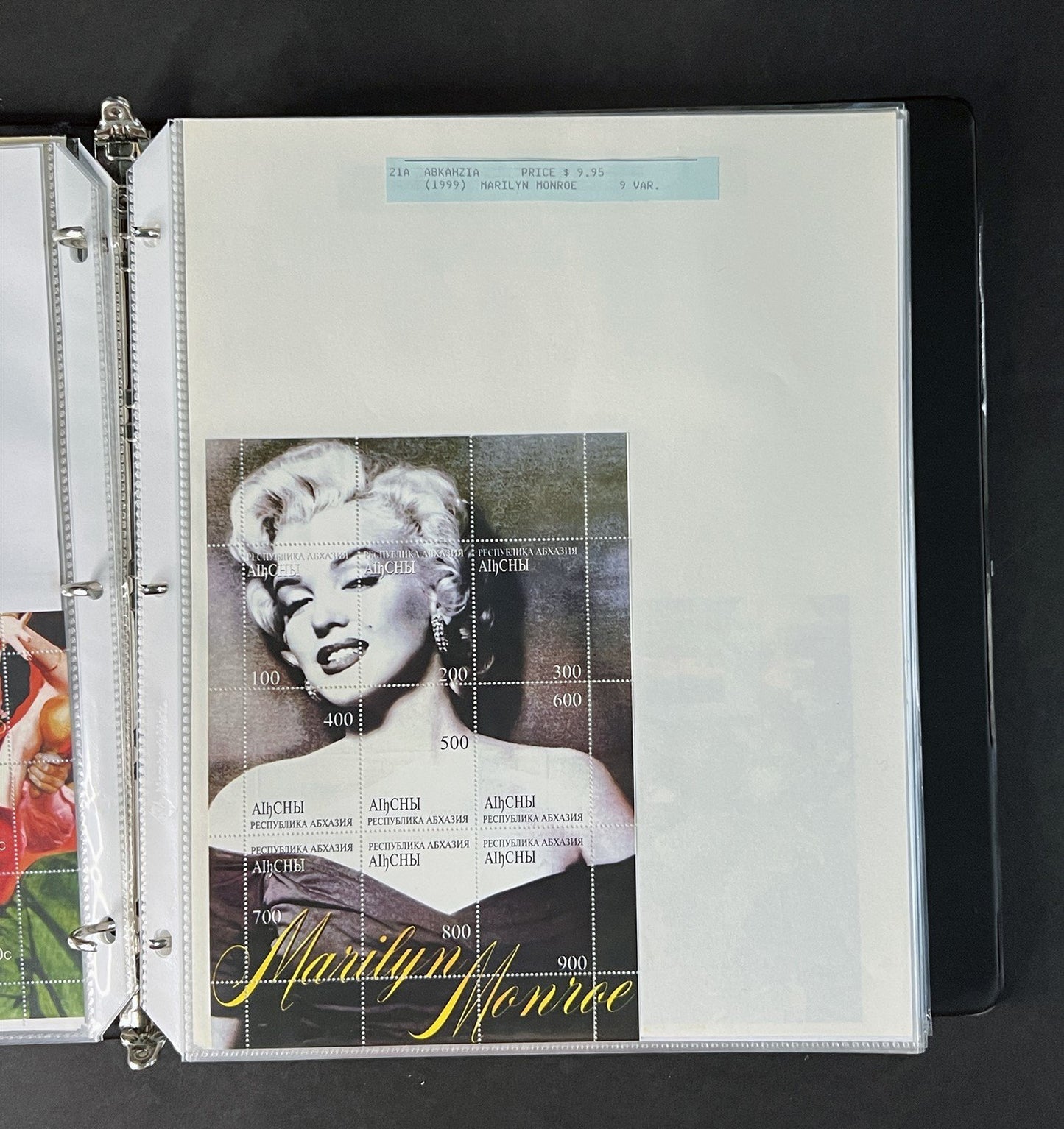 Topicals, Locals & Cinderellas Stamp & Cover Collection 100s in binder ZAYIX
