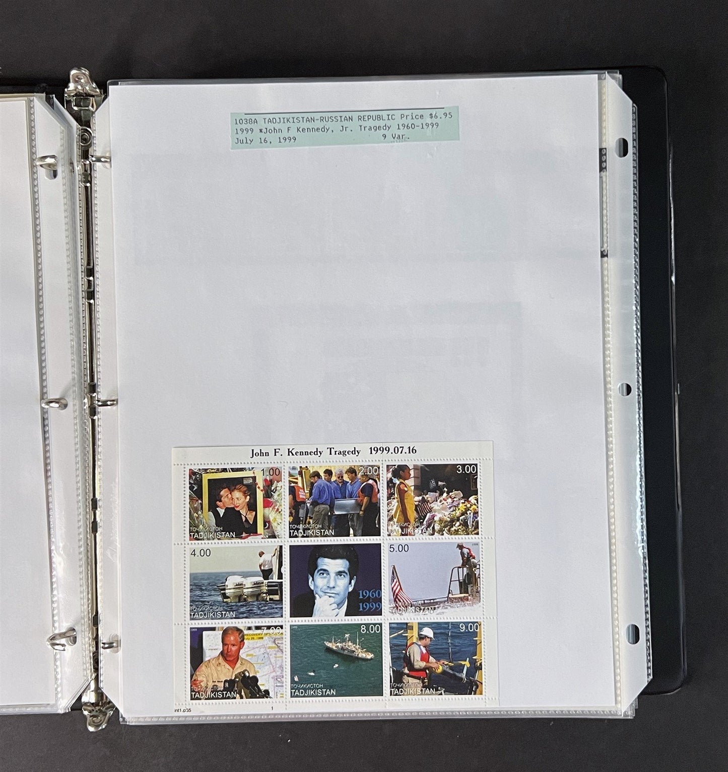 Topicals, Locals & Cinderellas Stamp & Cover Collection 100s in binder ZAYIX