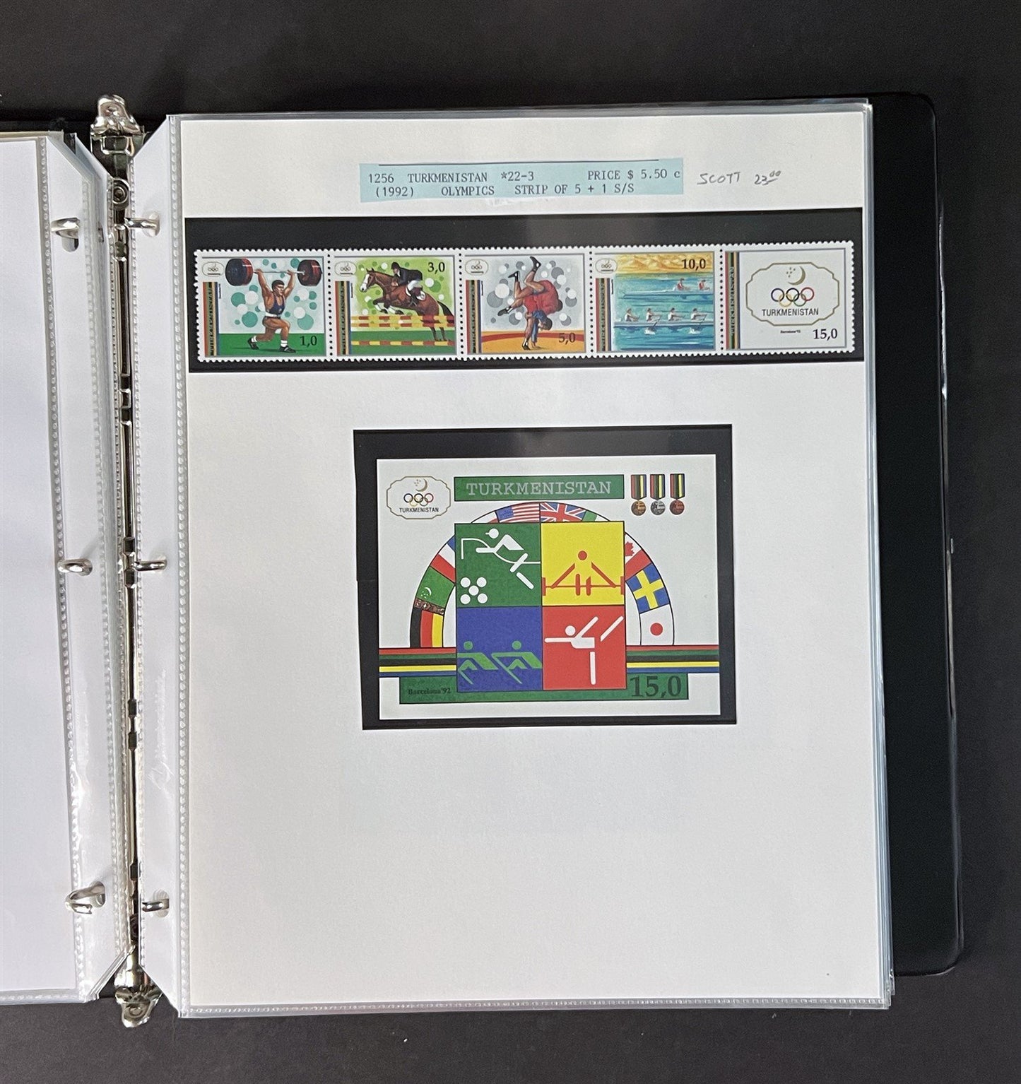 Topicals, Locals & Cinderellas Stamp & Cover Collection 100s in binder ZAYIX