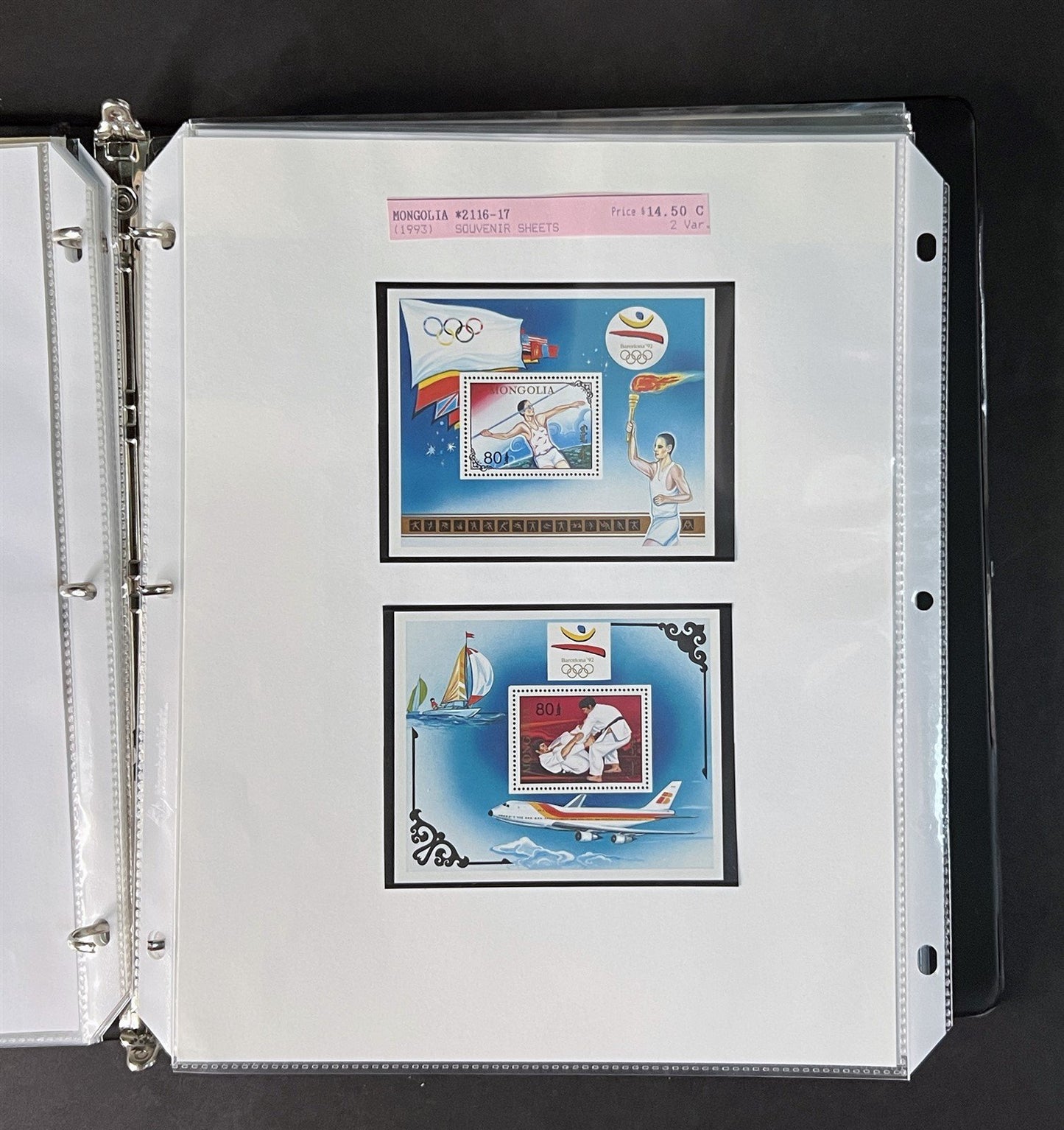 Topicals, Locals & Cinderellas Stamp & Cover Collection 100s in binder ZAYIX