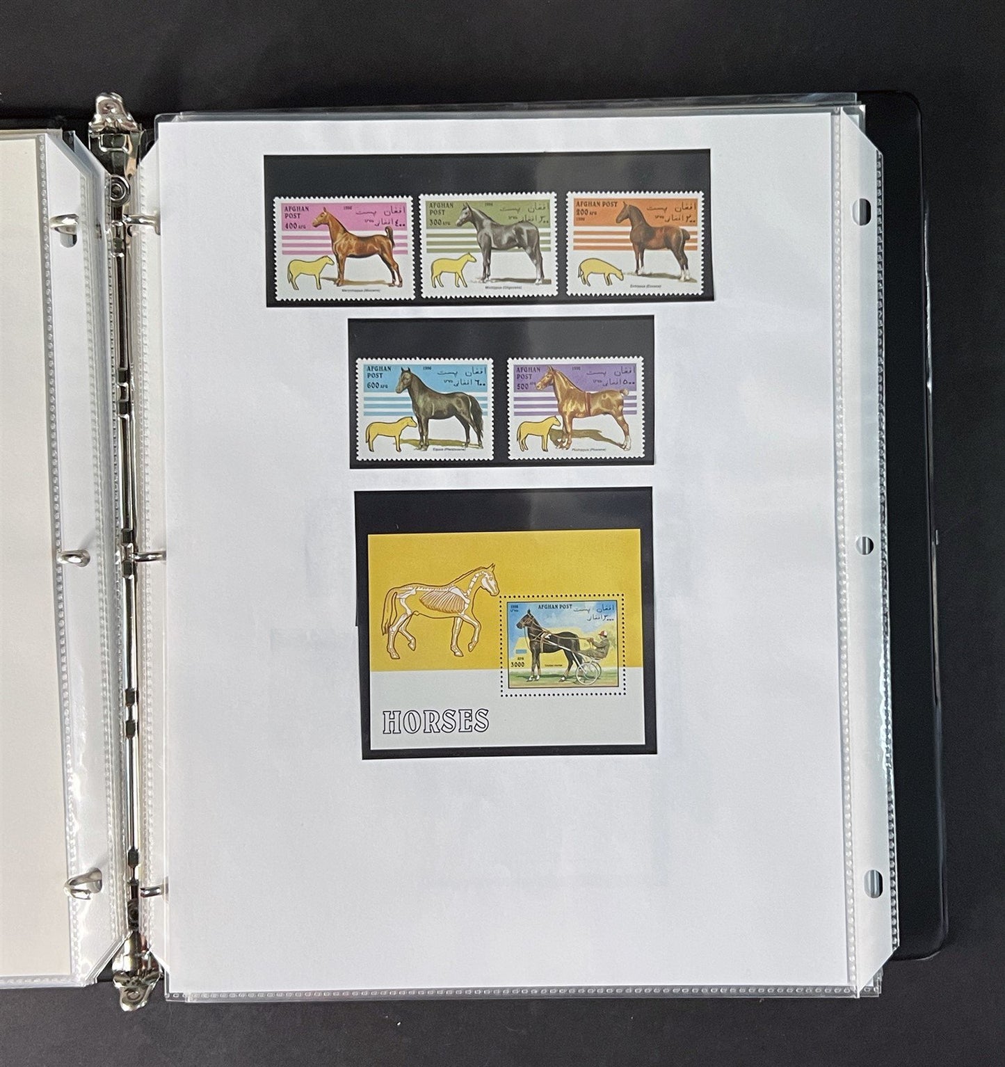 Topicals, Locals & Cinderellas Stamp & Cover Collection 100s in binder ZAYIX
