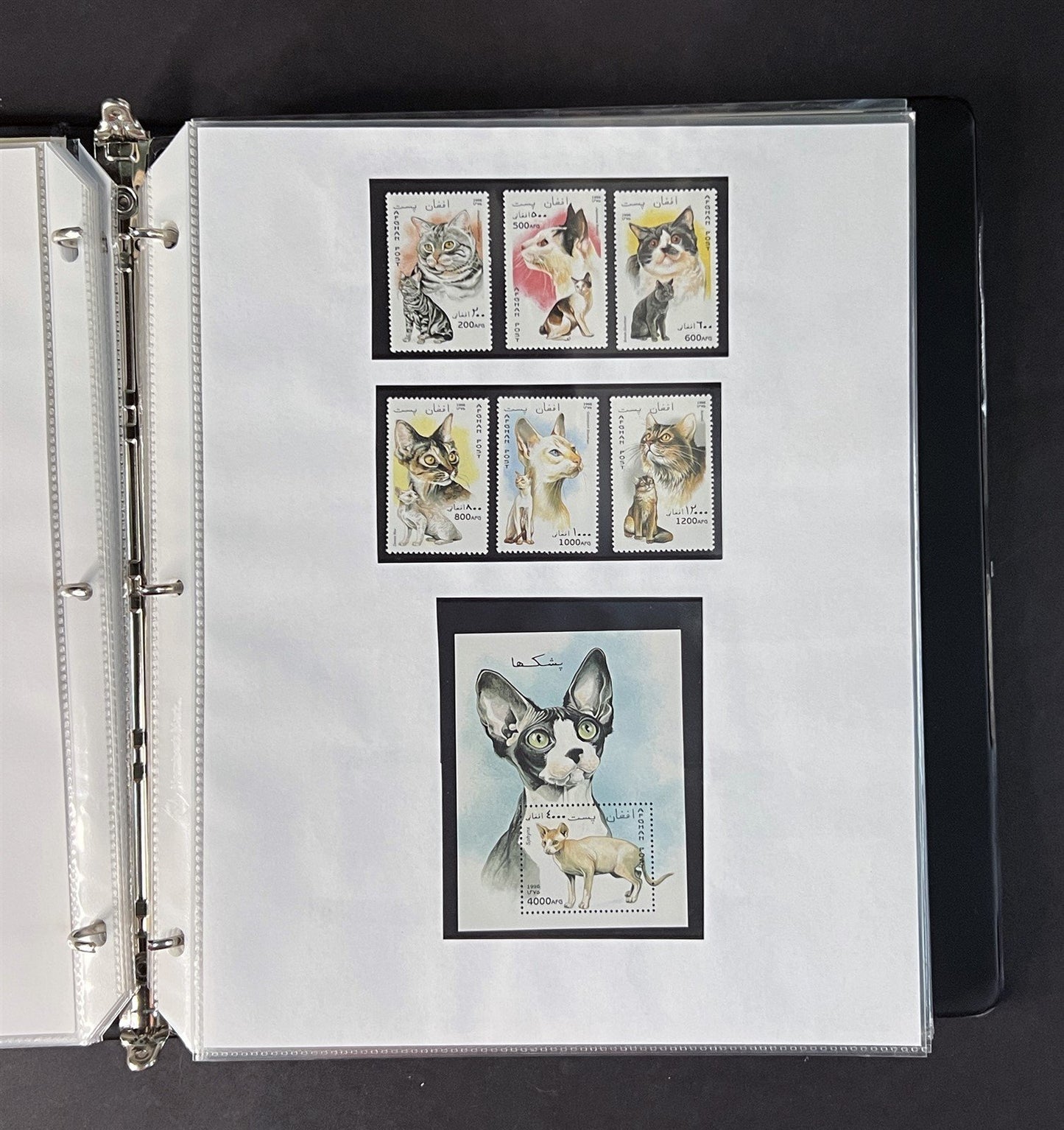 Topicals, Locals & Cinderellas Stamp & Cover Collection 100s in binder ZAYIX