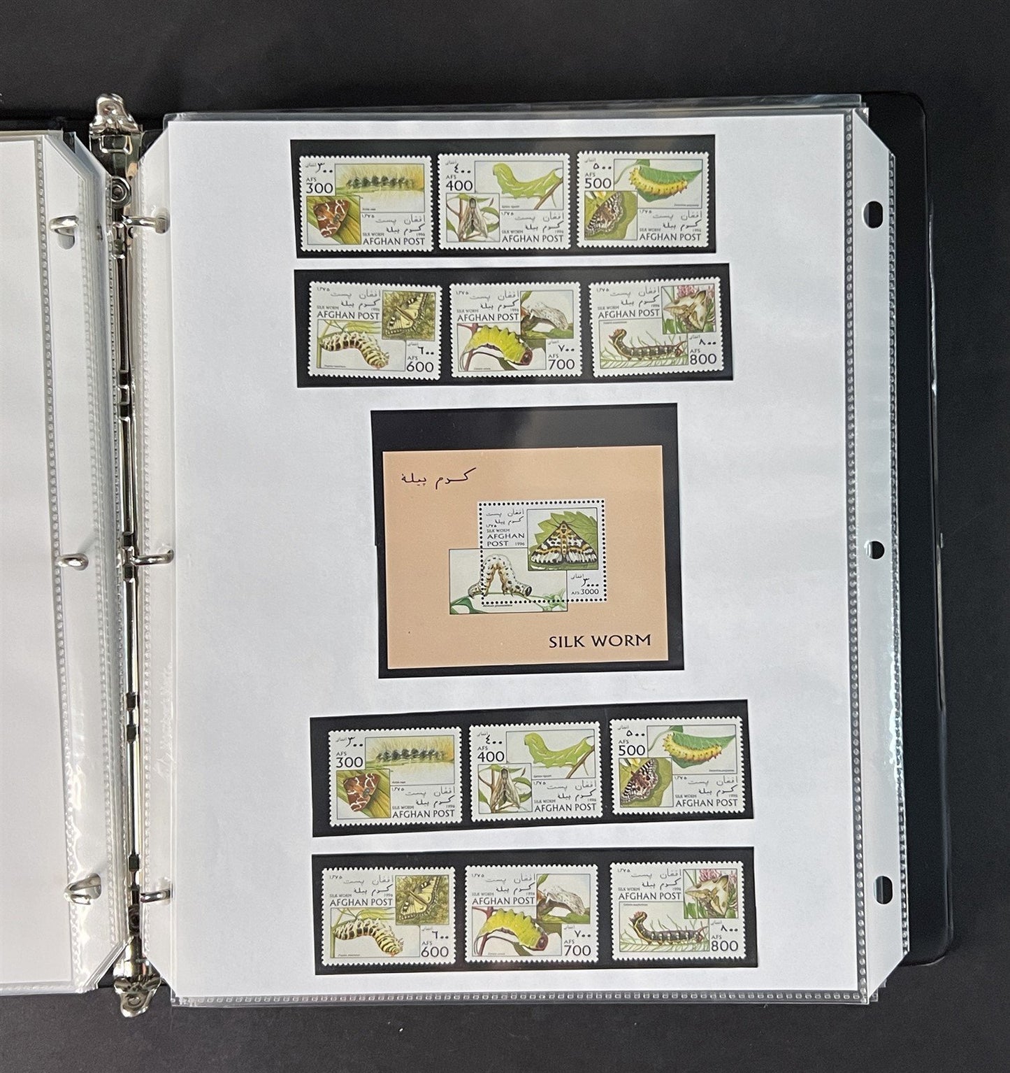 Topicals, Locals & Cinderellas Stamp & Cover Collection 100s in binder ZAYIX