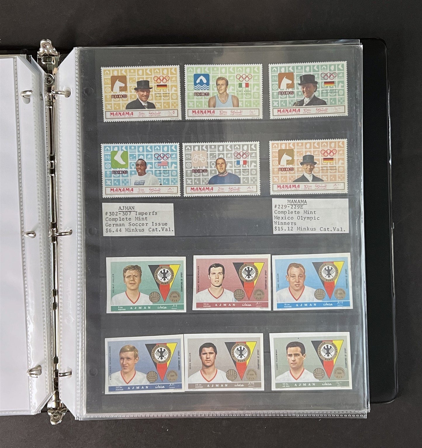Topicals, Locals & Cinderellas Stamp & Cover Collection 100s in binder ZAYIX