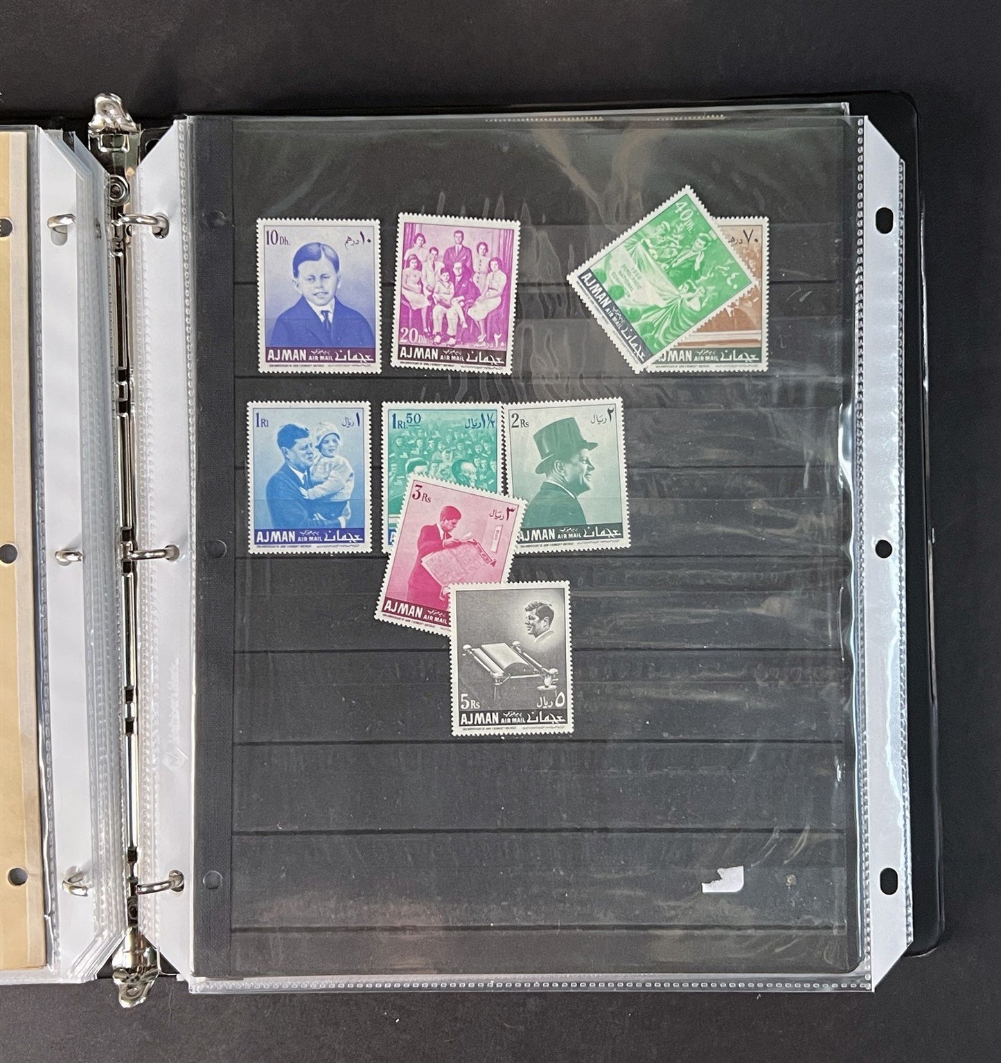 Topicals, Locals & Cinderellas Stamp & Cover Collection 100s in binder ZAYIX