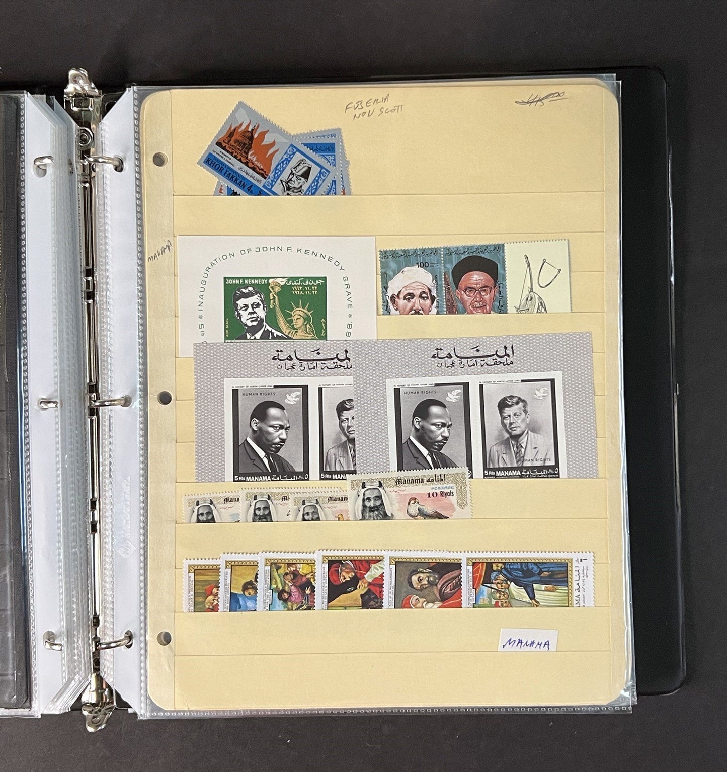 Topicals, Locals & Cinderellas Stamp & Cover Collection 100s in binder ZAYIX
