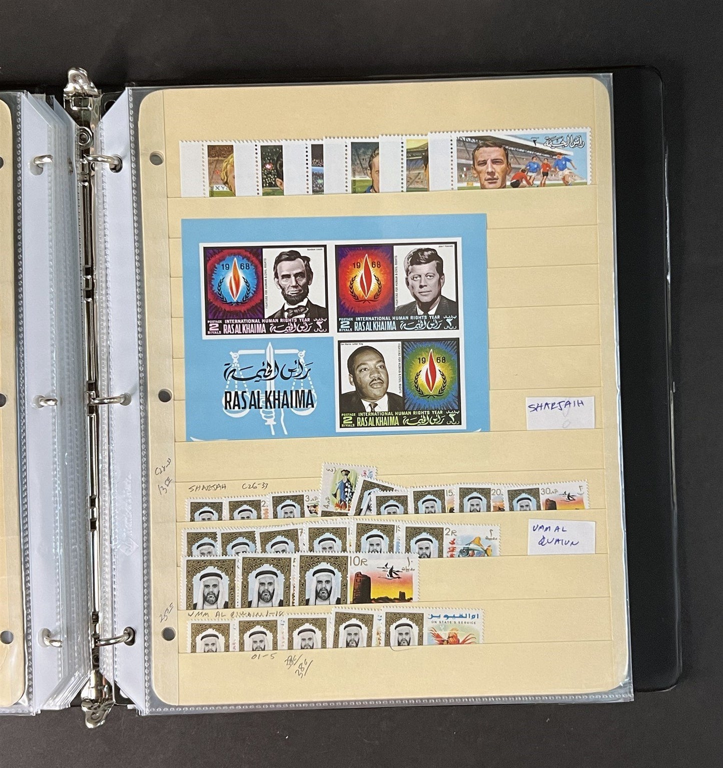 Topicals, Locals & Cinderellas Stamp & Cover Collection 100s in binder ZAYIX