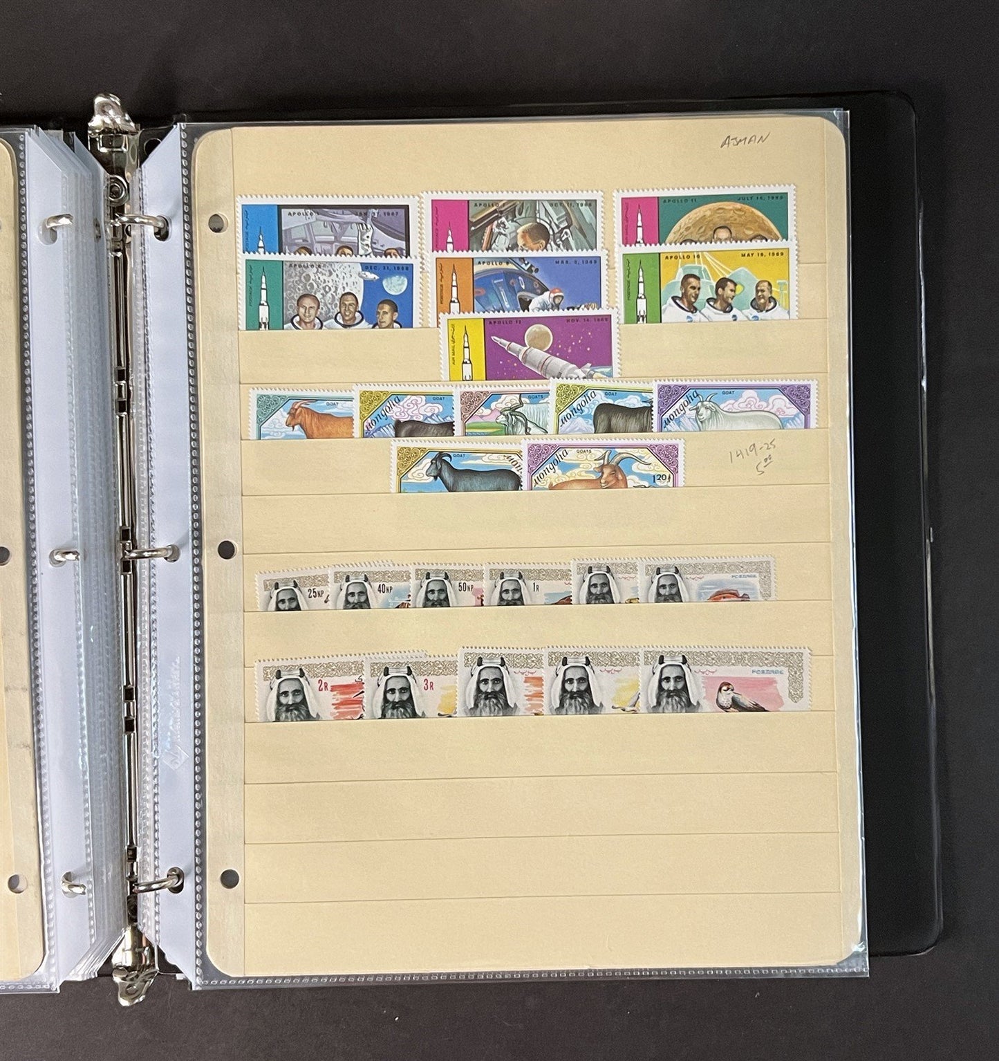 Topicals, Locals & Cinderellas Stamp & Cover Collection 100s in binder ZAYIX