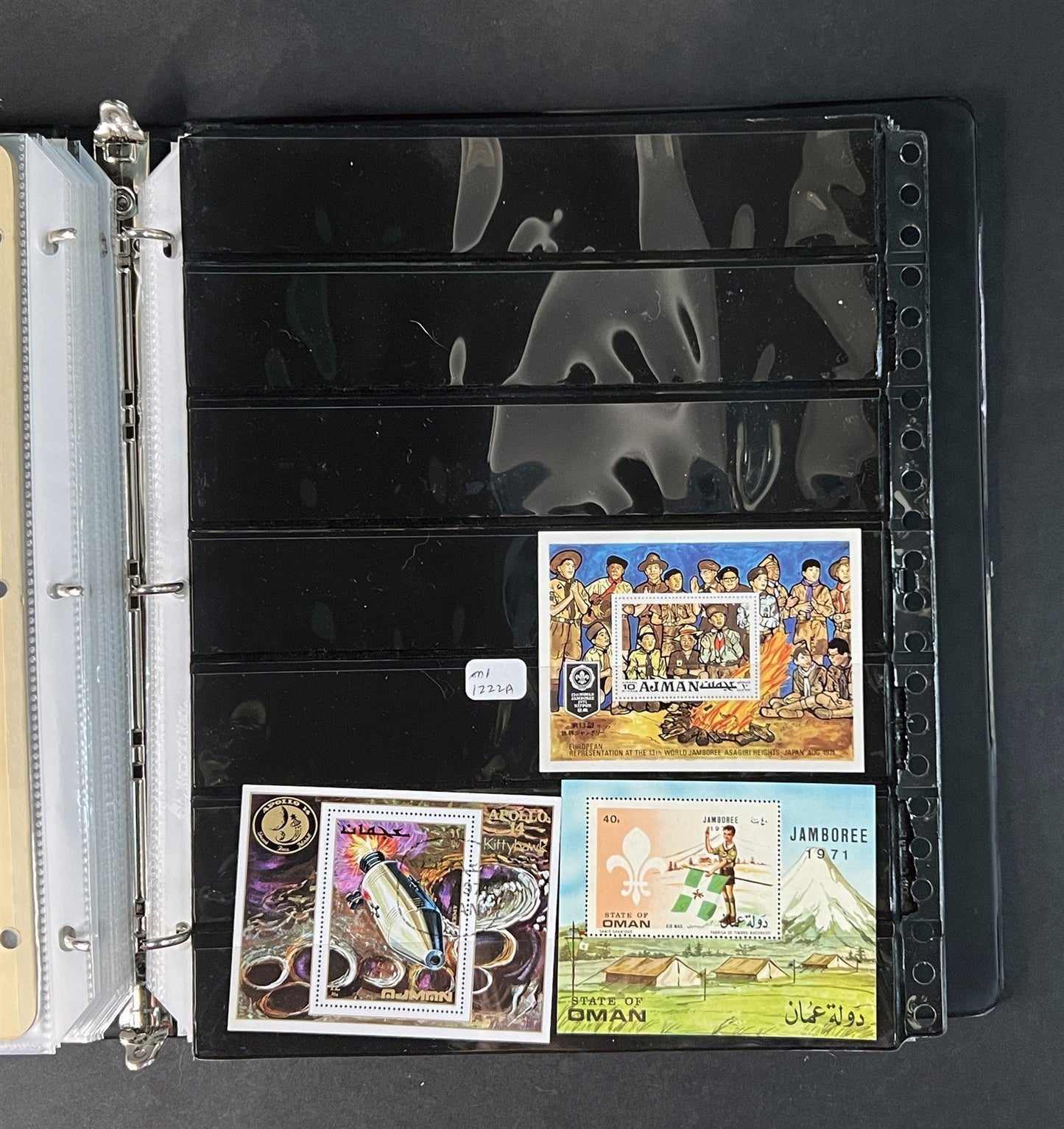 Topicals, Locals & Cinderellas Stamp & Cover Collection 100s in binder ZAYIX