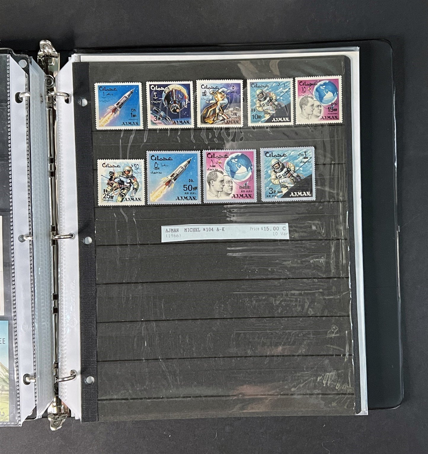 Topicals, Locals & Cinderellas Stamp & Cover Collection 100s in binder ZAYIX