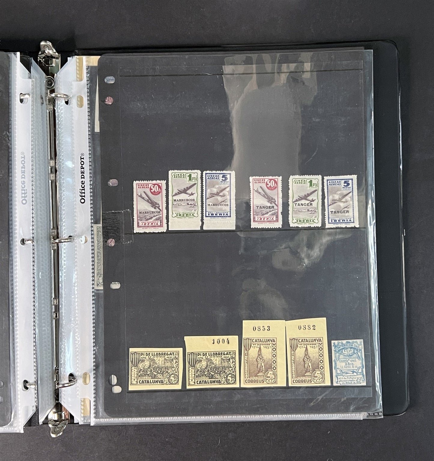 Topicals, Locals & Cinderellas Stamp & Cover Collection 100s in binder ZAYIX