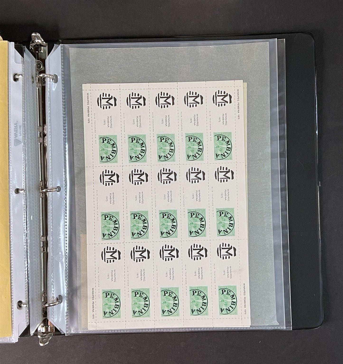 Topicals, Locals & Cinderellas Stamp & Cover Collection 100s in binder ZAYIX