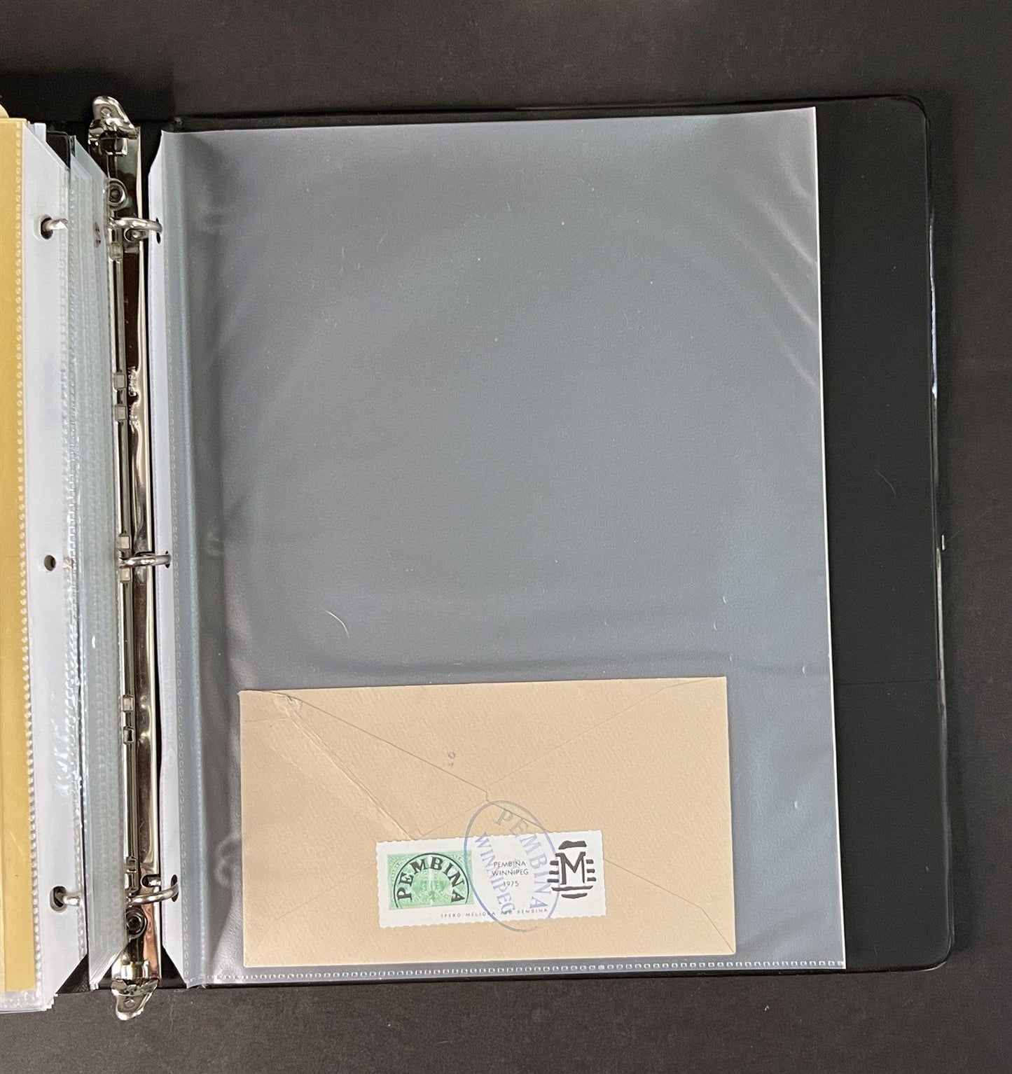 Topicals, Locals & Cinderellas Stamp & Cover Collection 100s in binder ZAYIX