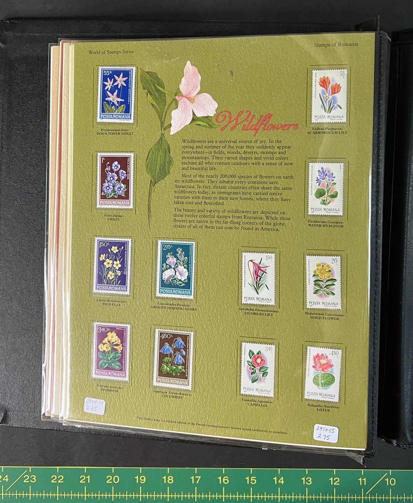 World of Stamps Collection of 266 MNH in a PCS Album Catalog Value $440+ ZAYIX