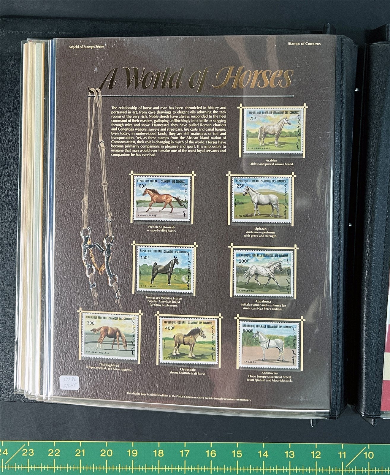 World of Stamps Collection of 266 MNH in a PCS Album Catalog Value $440+ ZAYIX